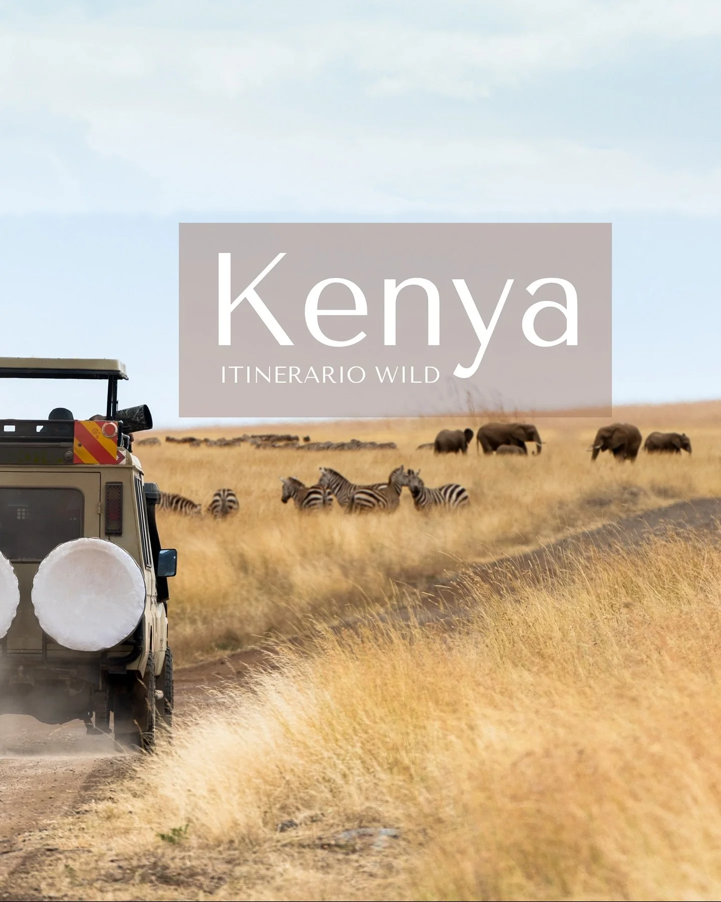 Ho raccolto emozioni, sabbia, tramonti e un itinerario che oggi voglio condividere con te.
Spiagge dove il tempo si ferma, asini al posto delle auto, elefanti che camminano in silenzio.

Se stai sognando l&rsquo;Africa&hellip; questo &egrave; il viag