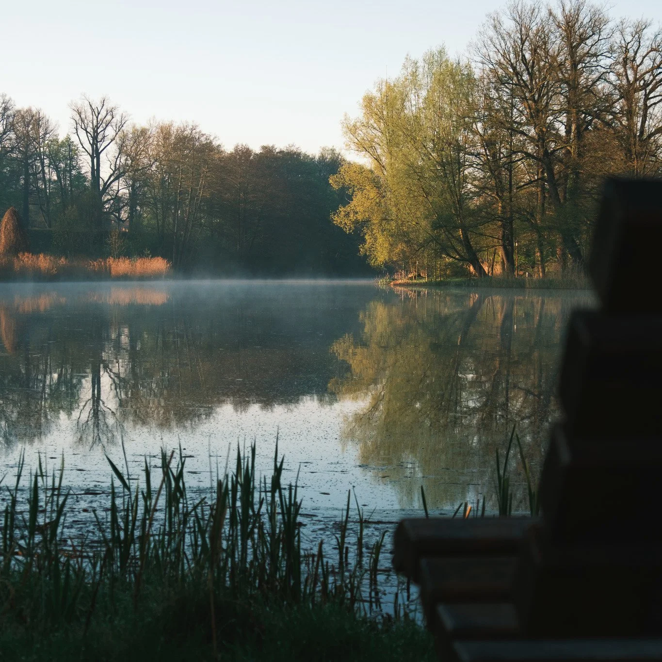 #bench #lake #see #teich #nature #lakeview #fuji #xt5 #sunrise #fog #fogonlake #mist #naturephotograpy