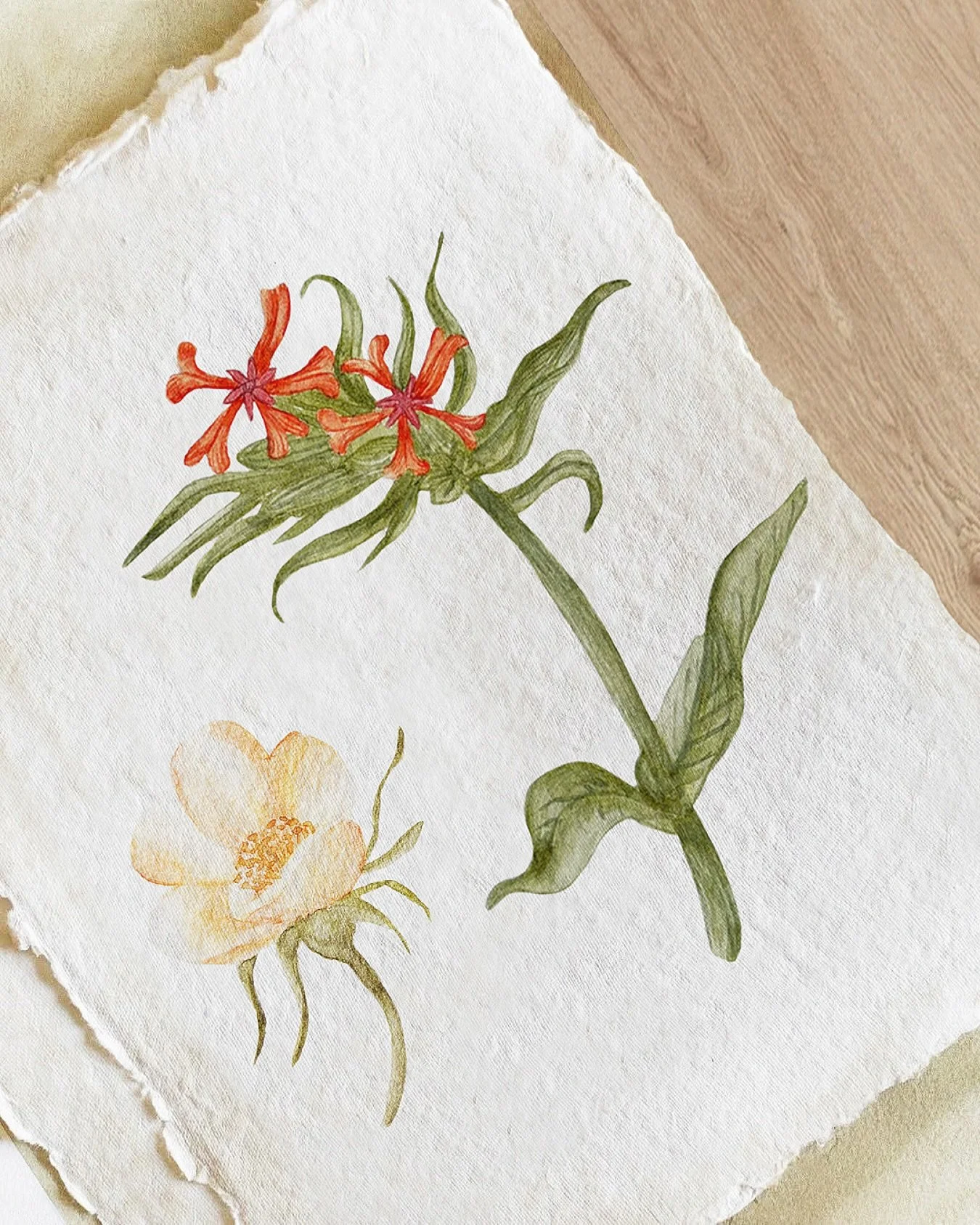 Acuarelas sobre papel artesanal 🌾