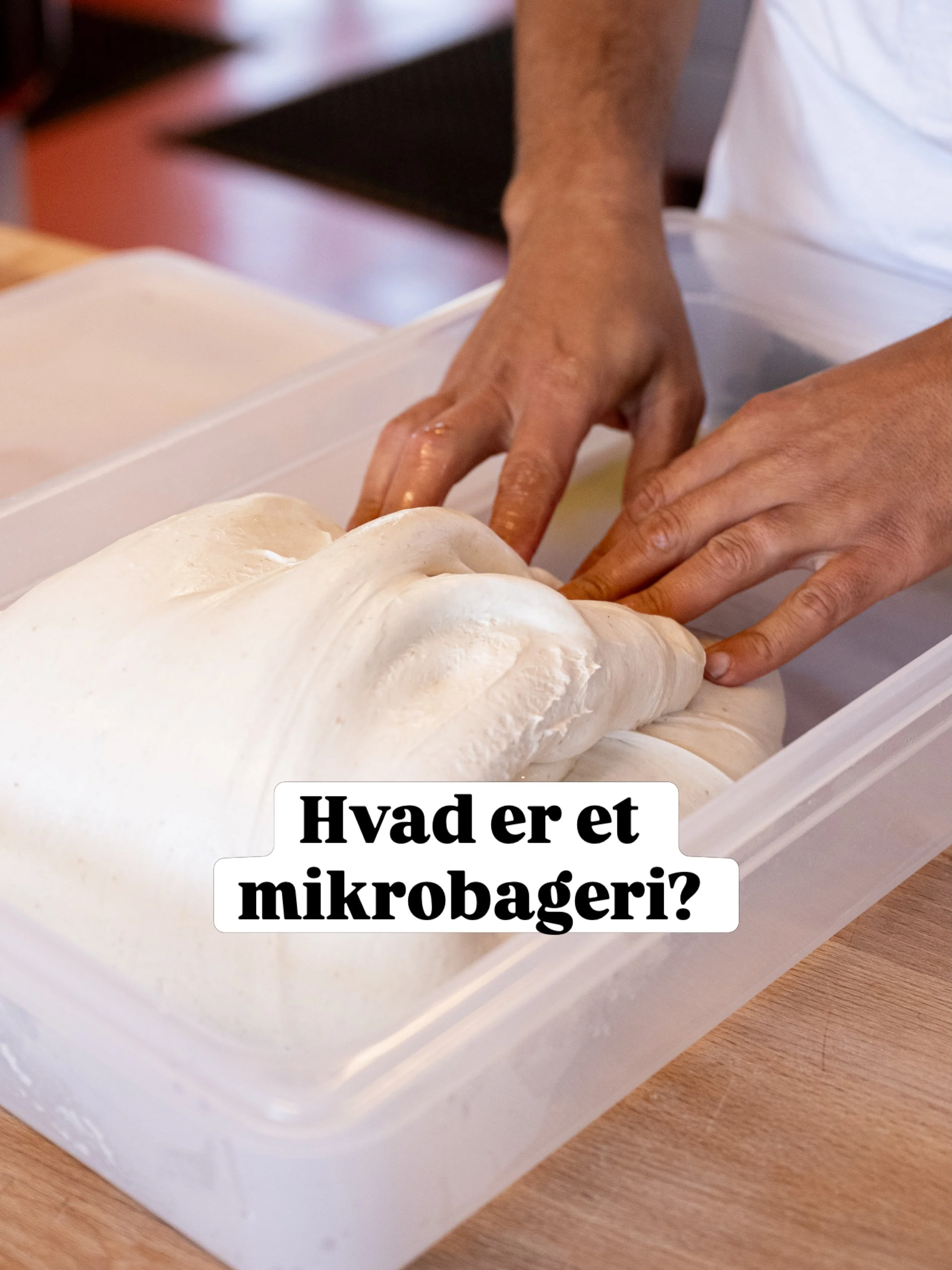 Hvad er det egentlig for noget med s&aring;dan et &ldquo;mikrobageri&rdquo;?🤔 surdej, k&aelig;rlighed, tid, passion, kvalitet og gl&aelig;de 😁 l&aelig;s meget mere p&aring; billederne 🙏

#mikrobageri #surdej #iv&aelig;rks&aelig;tteri #surdejsbager