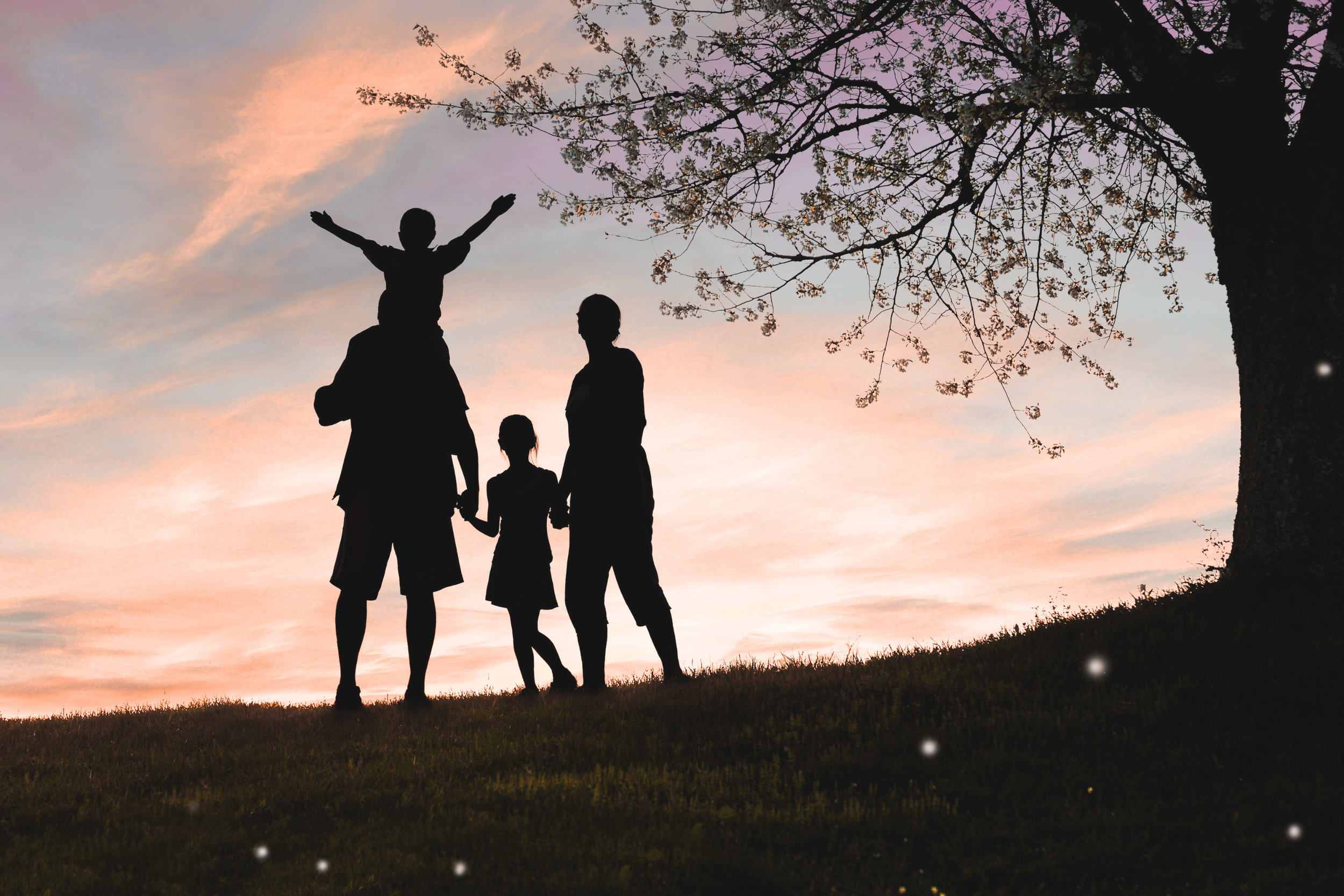 Part 2 - Building Habits That Stick: What the Brain Needs to Learn Automatically