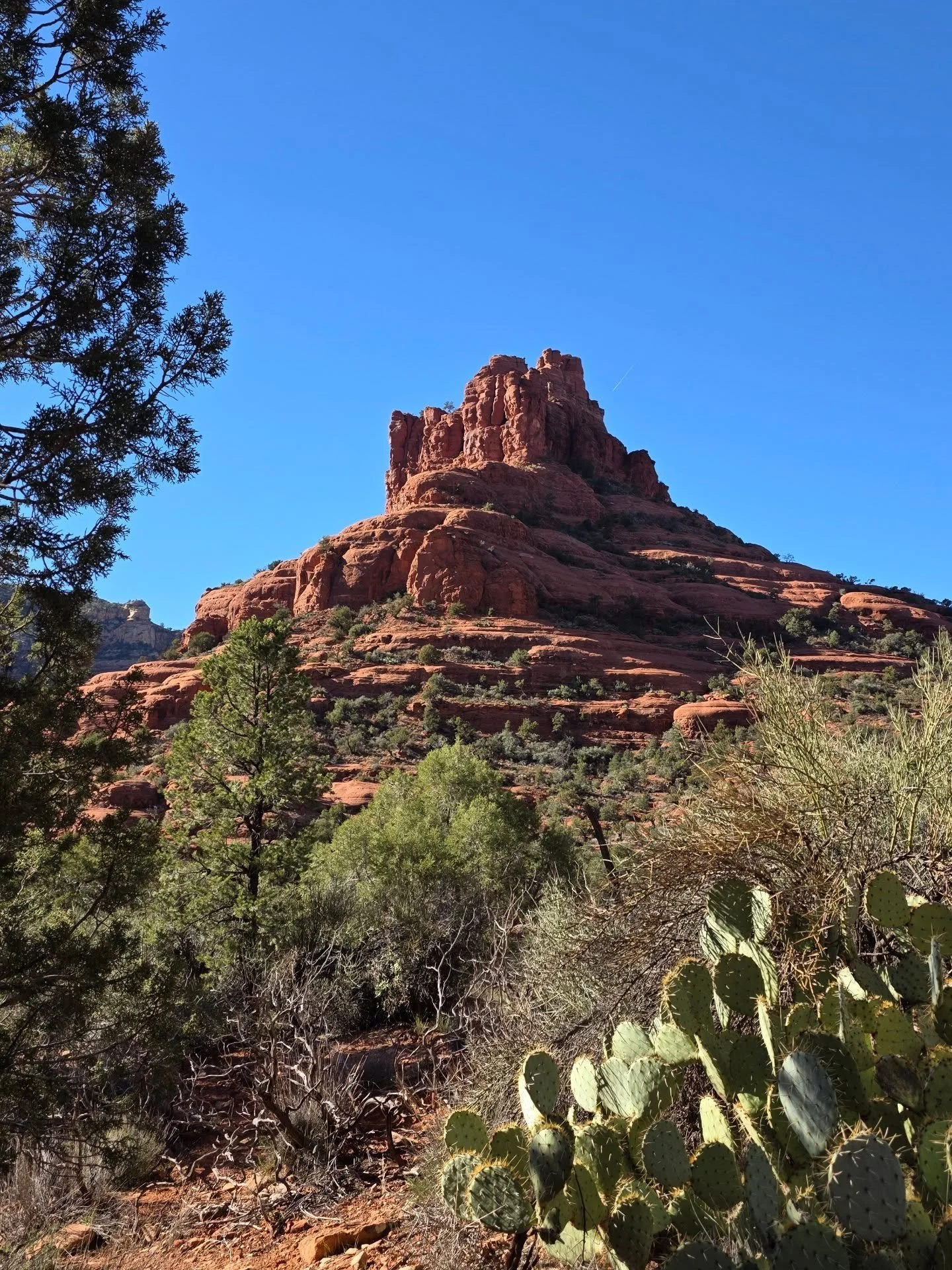 Sedona... no words for how I feel when I'm on the red rock trails. 
#sedona #SedonaAdventure #AndThenSheDid