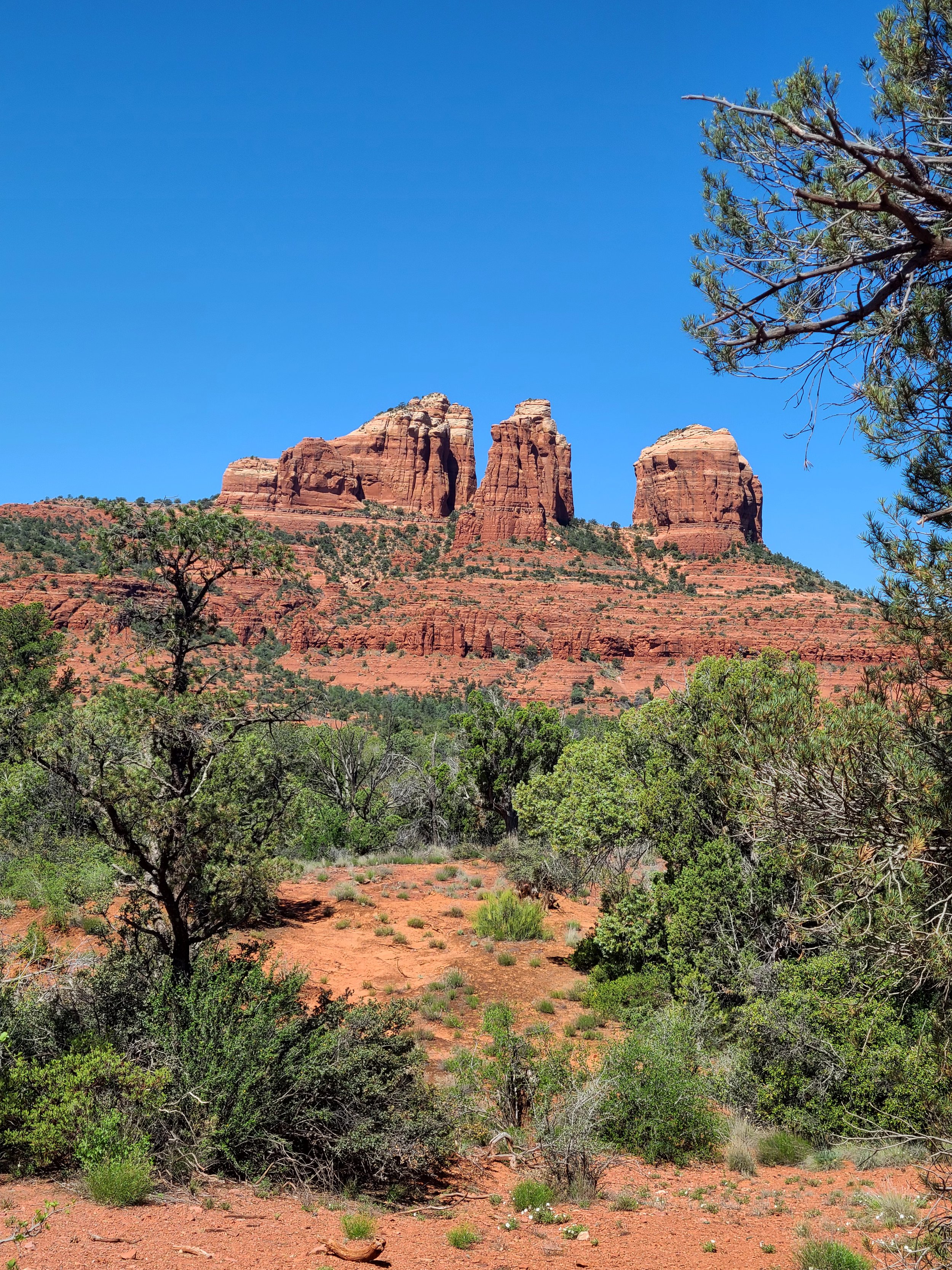 20240424_101618.jpg