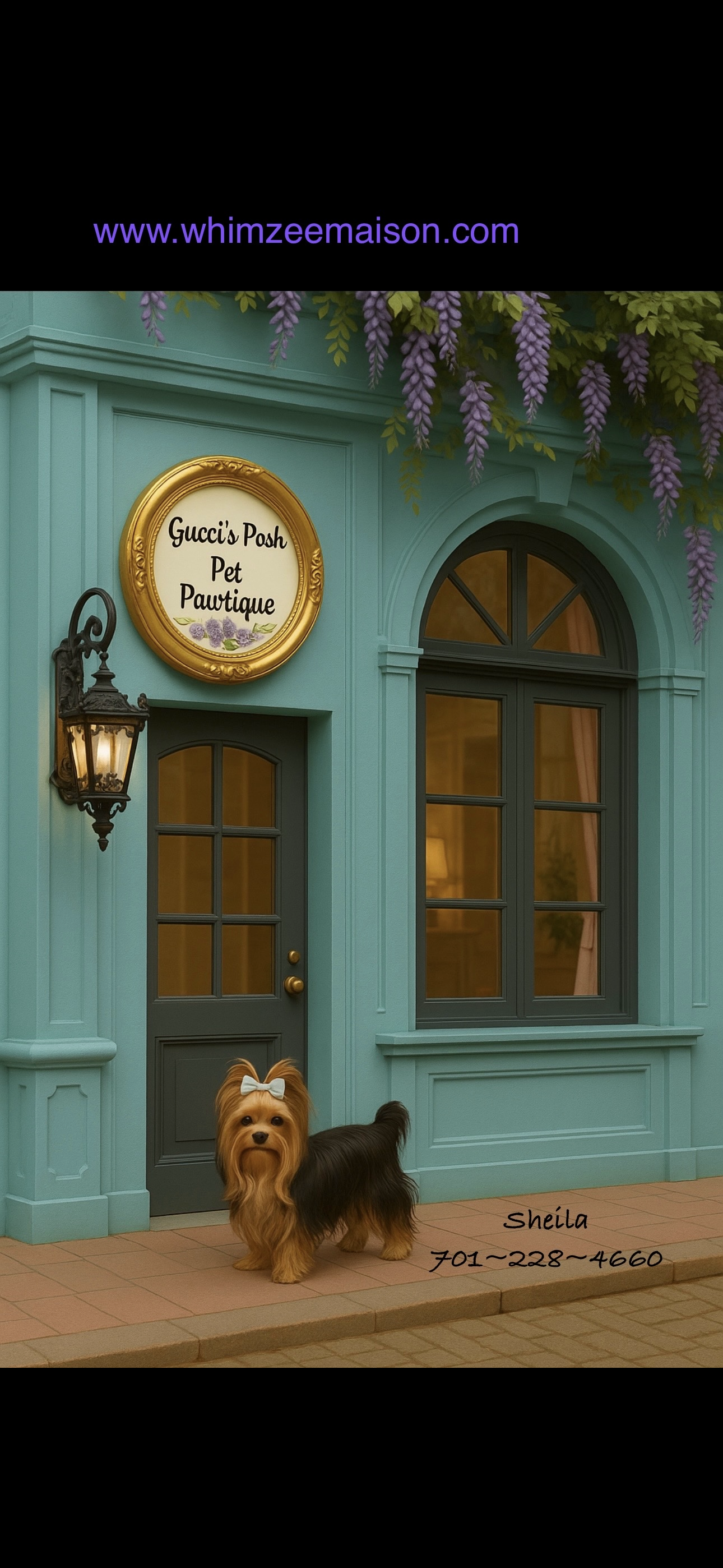 Small Yorkshire Terrier dog with a bow on its head standing in front of a teal-colored building with a sign that reads "Gucci's Posh Pet Pawtique" and a phone number, with purple wisteria flowers hanging above.