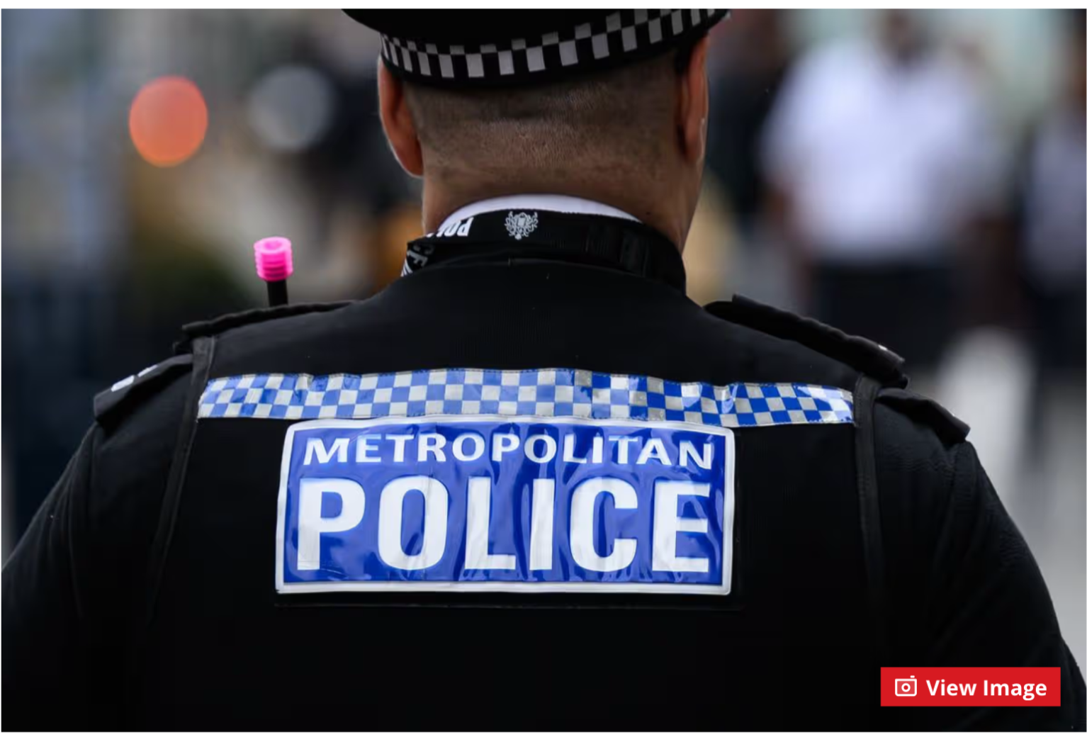 A Career Detective In The Met