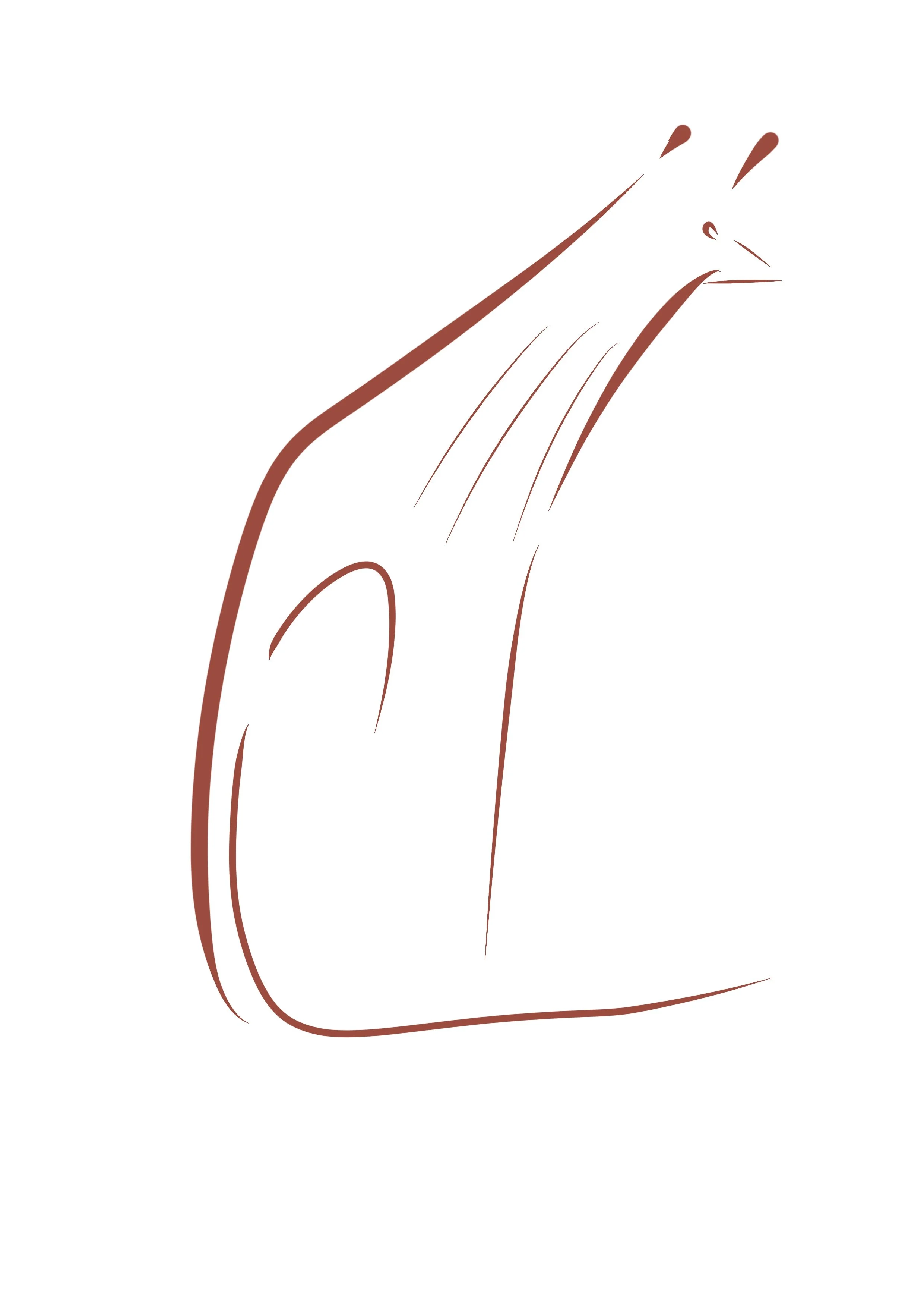 Untitled_Artwork 13.jpg