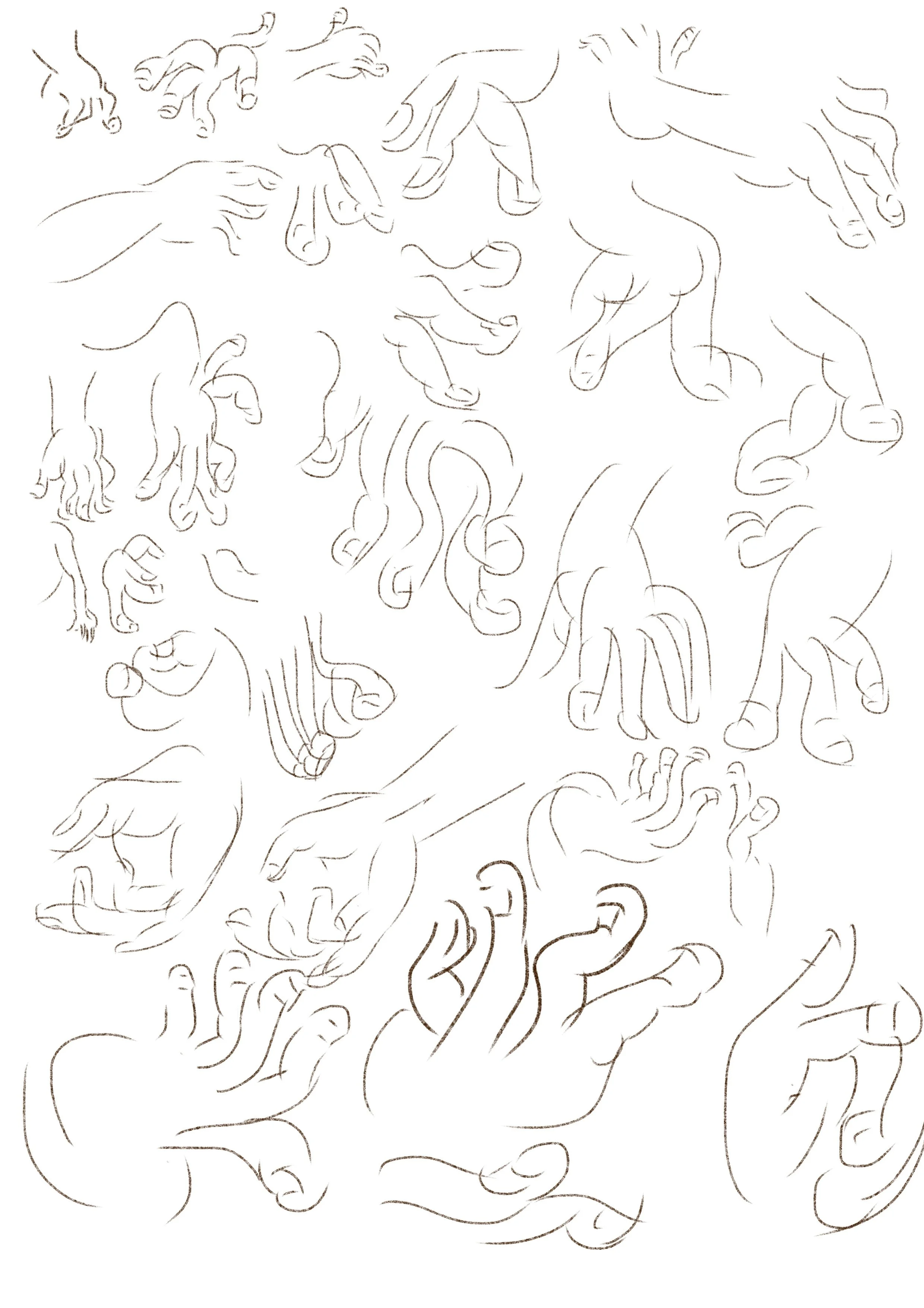 Untitled_Artwork 102.jpg