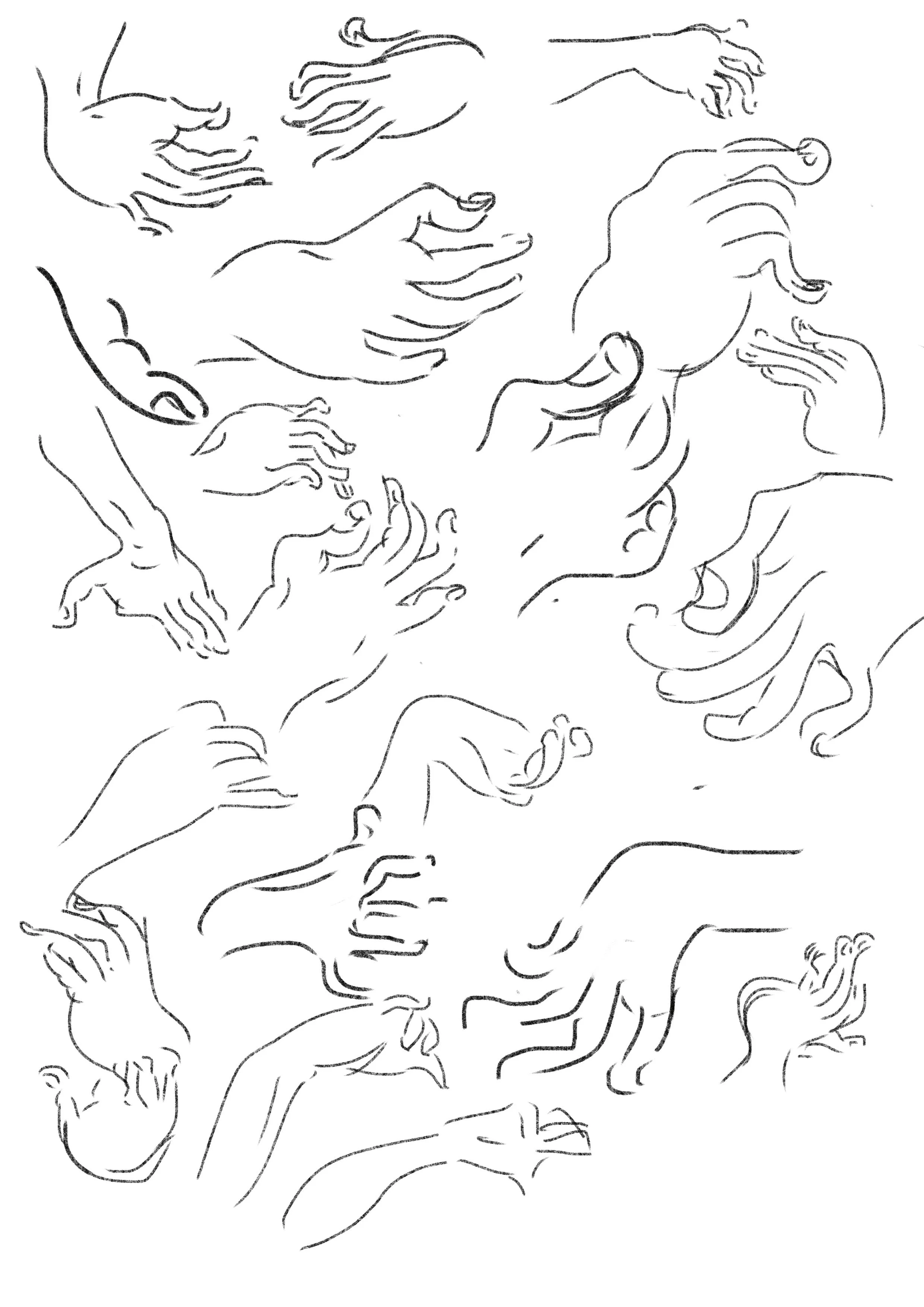 Untitled_Artwork 101.jpg