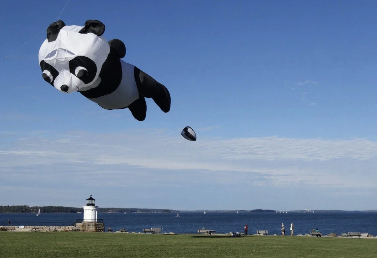 Panda-shaped kite flying above a grassy waterfront and lighthouse.