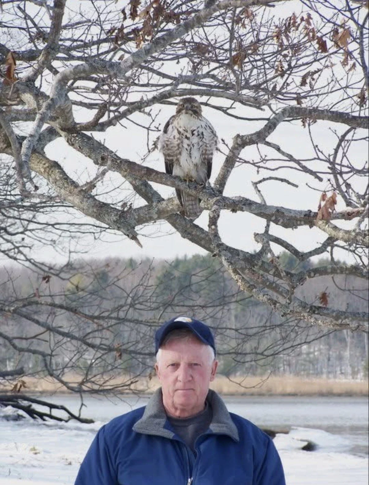 Composite image of a person beneath a bird perched in a tree.