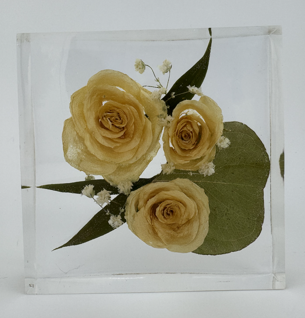 Screen Shot 2026-01-08 at 2.58.00 PM.png