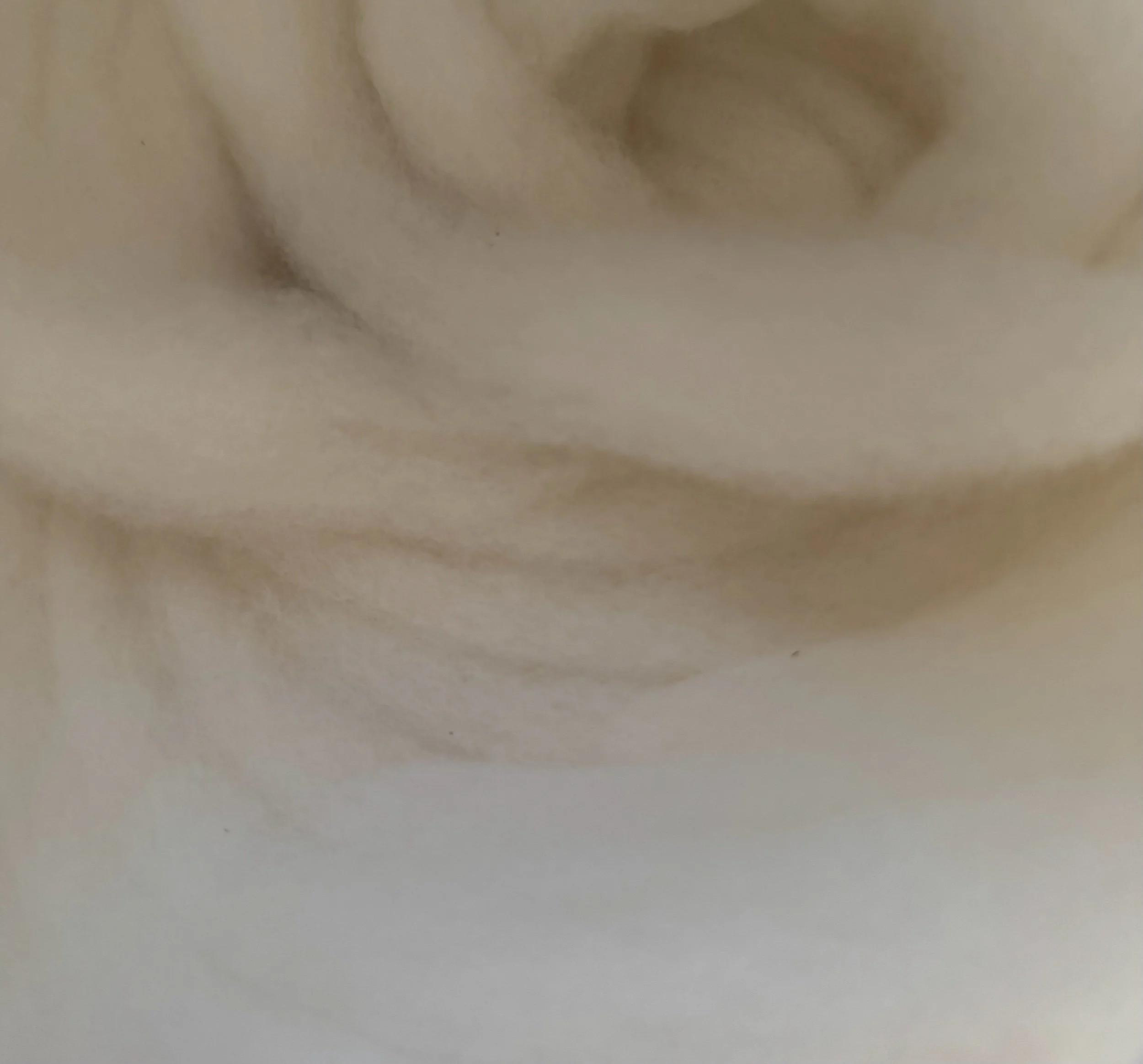 Devon Merino x Exmoor Sliver - 100g