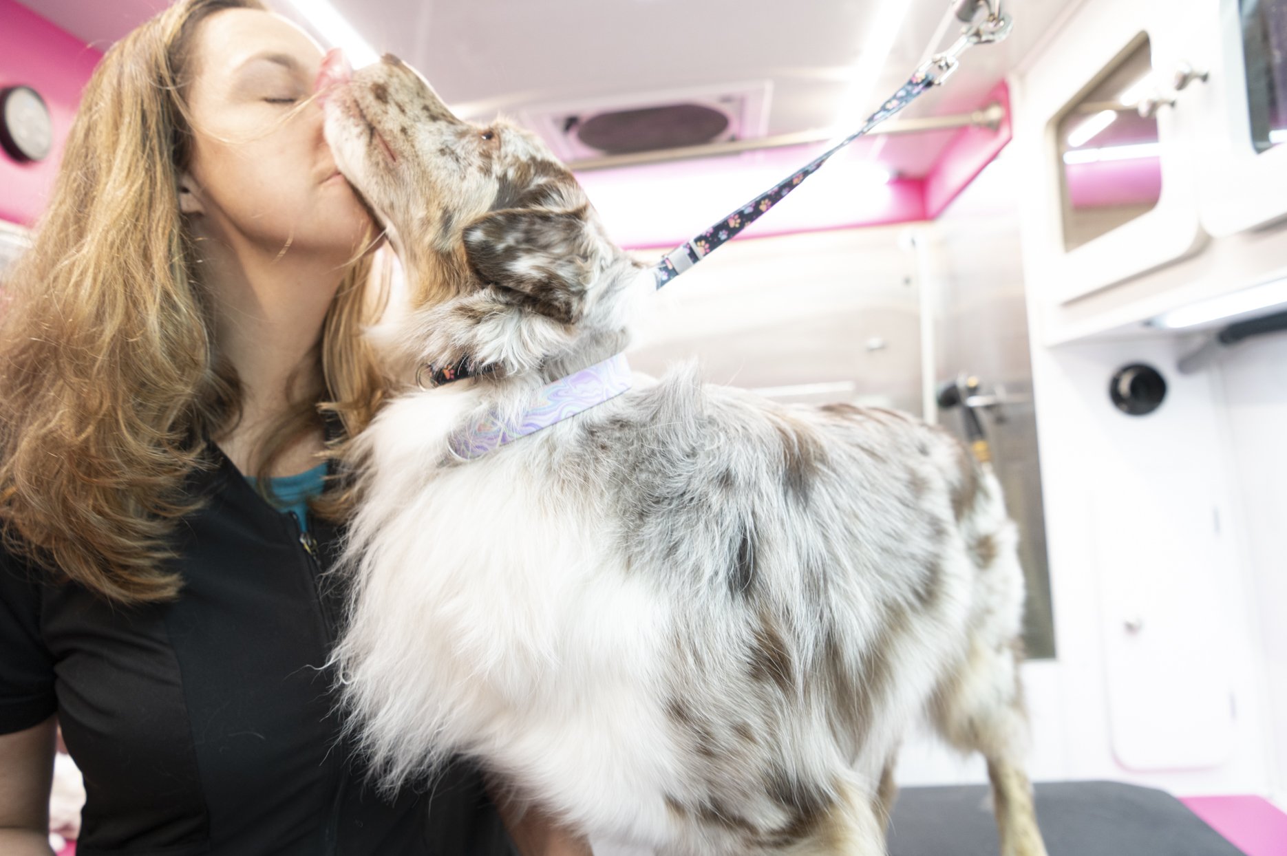 Dog affectionately licking its owner inside a mobile grooming van, capturing a candid moment of connection during a Jacksonville Florida pet session