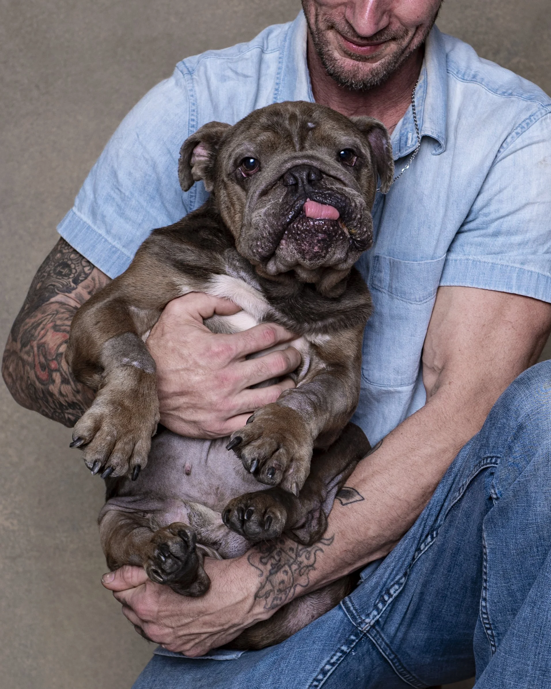 Man holding a bulldog during a studio portrait session, showcasing connection and personality in Jacksonville Florida pet photography
