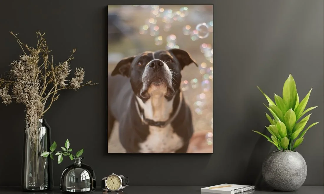 Framed dog portrait displayed as wall art in a styled home interior, highlighting custom pet photography artwork in Jacksonville Florida