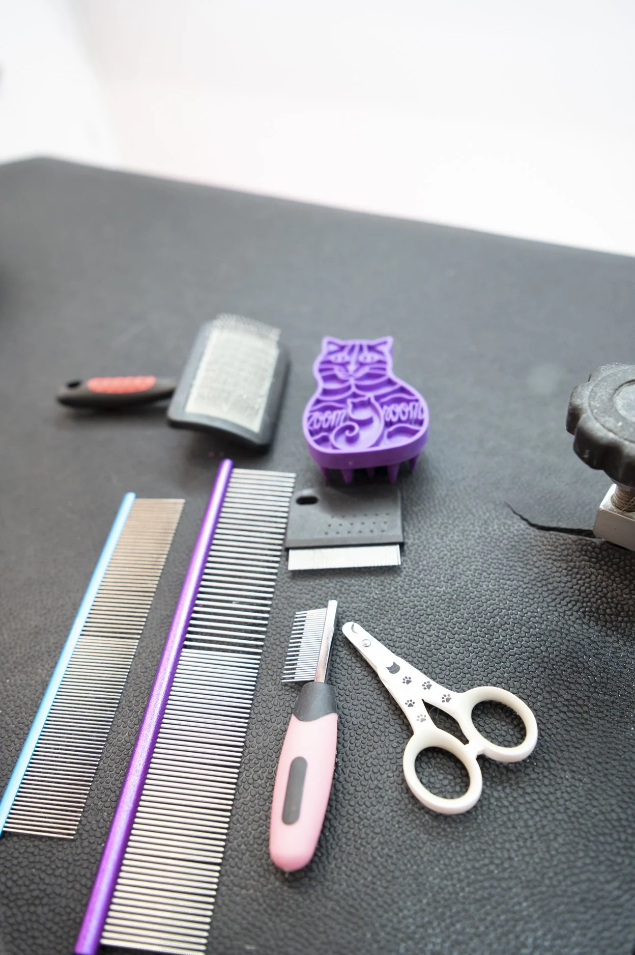 Professional pet grooming tools including combs and scissors arranged on a table, representing behind-the-scenes care in a Jacksonville Florida pet photography experience