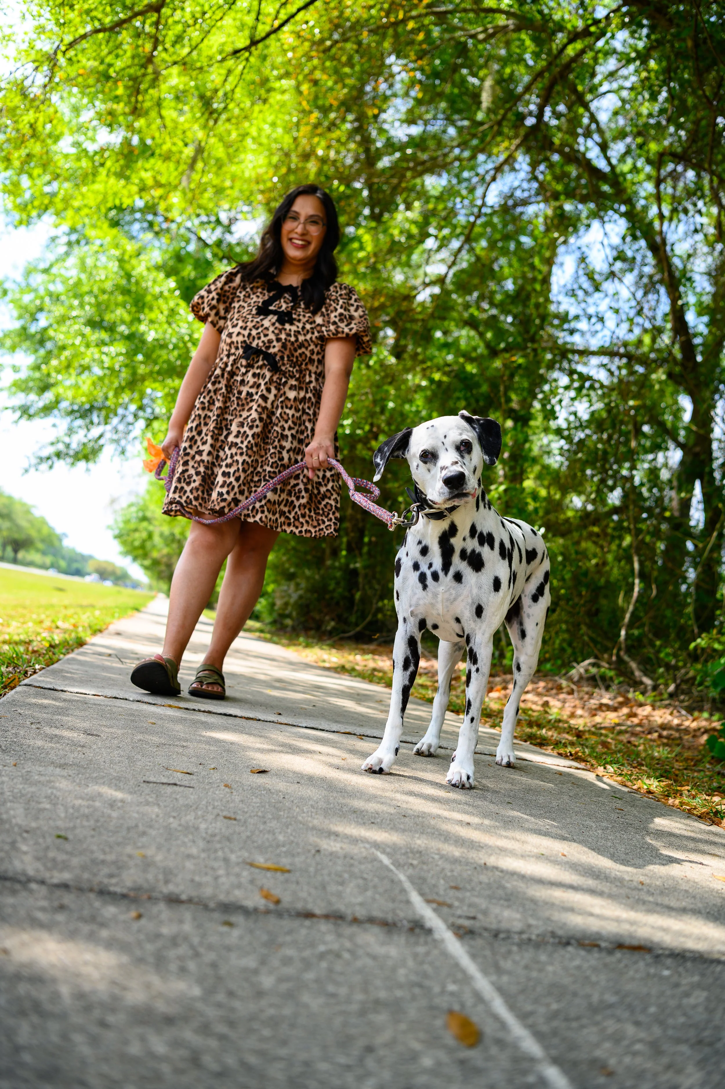 Woman walking her Dalmatian on a sunlit path during an outdoor pet portrait session in Jacksonville Florida