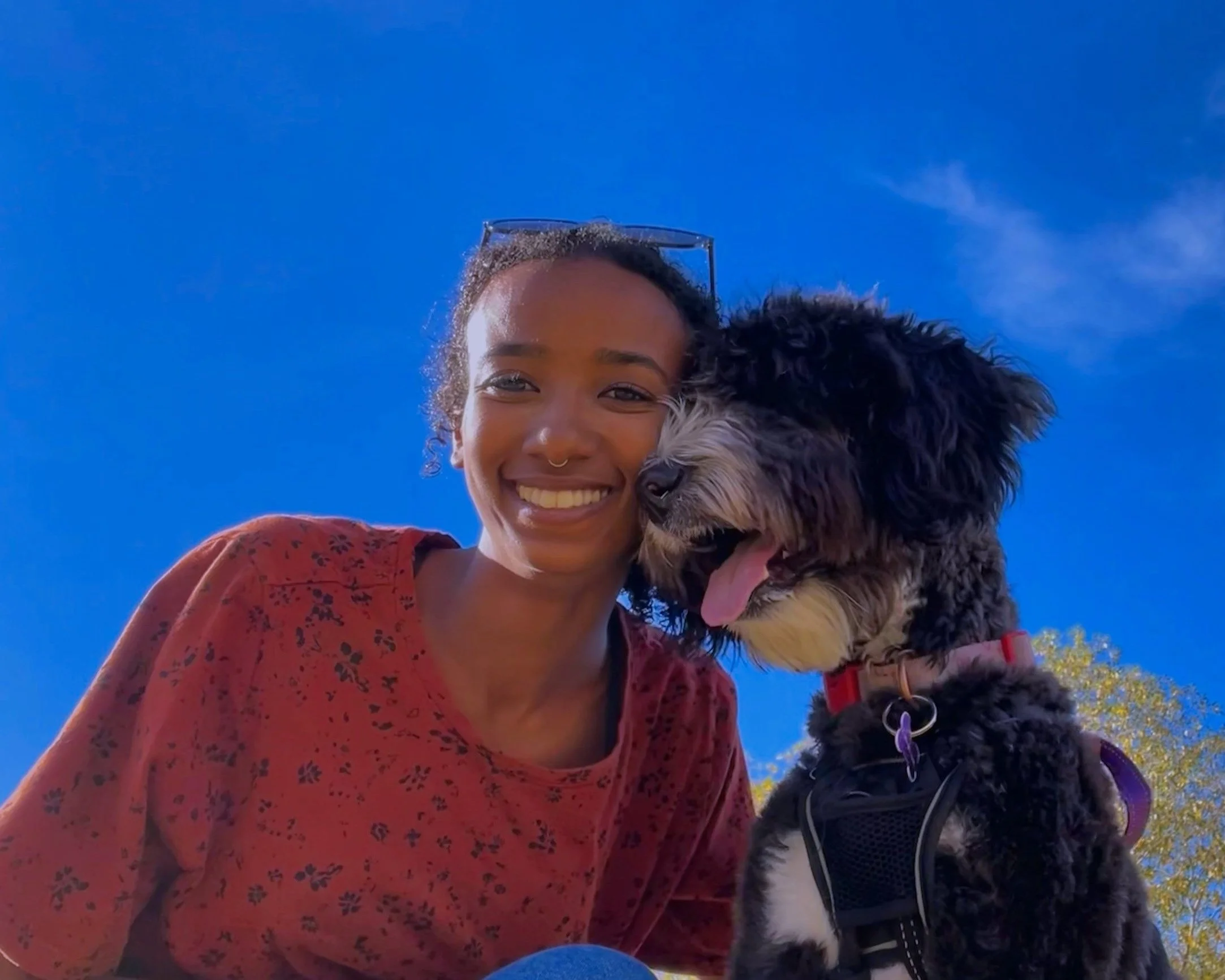 Smiling person with a fluffy black and white dog wearing a harness against a blue sky background.
