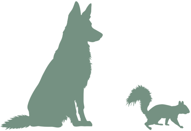 Silhouette of a sitting dog next to a standing squirrel on a white background.