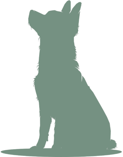 Silhouette of a sitting dog facing upwards