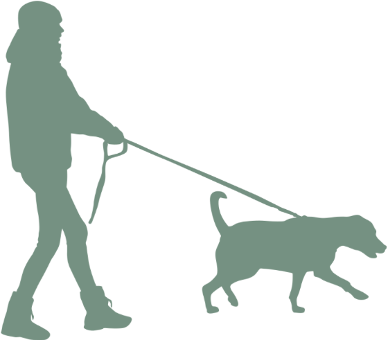 Silhouette of a person walking a dog on a leash