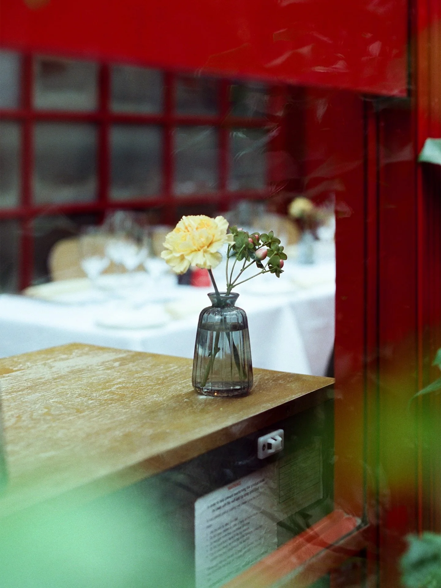 Sometimes there&rsquo;s so much beauty in the world, I feel I can&rsquo;t take it.

@35mmdealer.de 250D 🎞️
Dev. &amp; scanned by @picturethisfilmlab