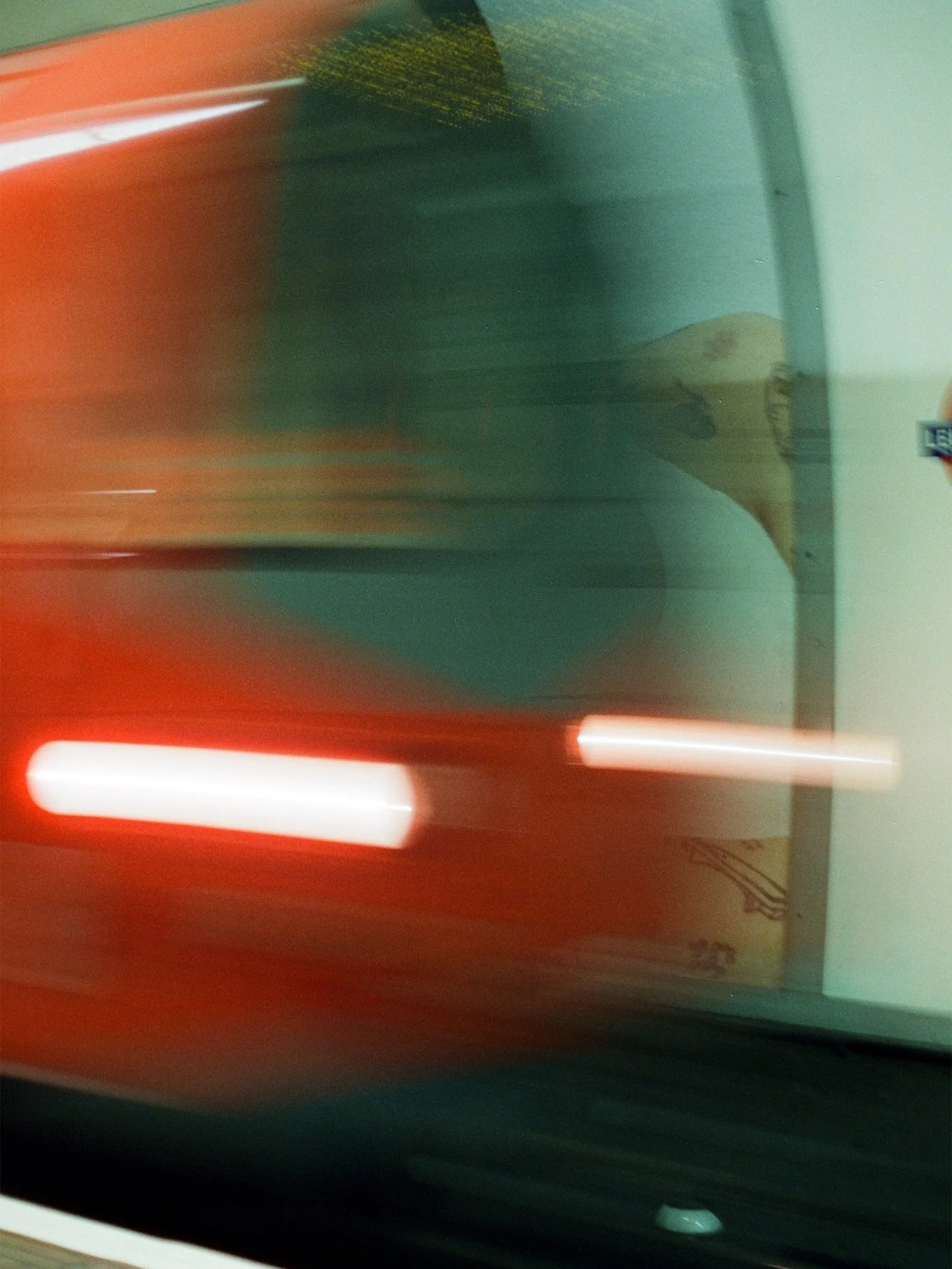 Some search for battle, others are born into it&hellip;

@cinestillfilm 800T (35mm) 🎞️
Dev. &amp; scanned by @picturethisfilmlab