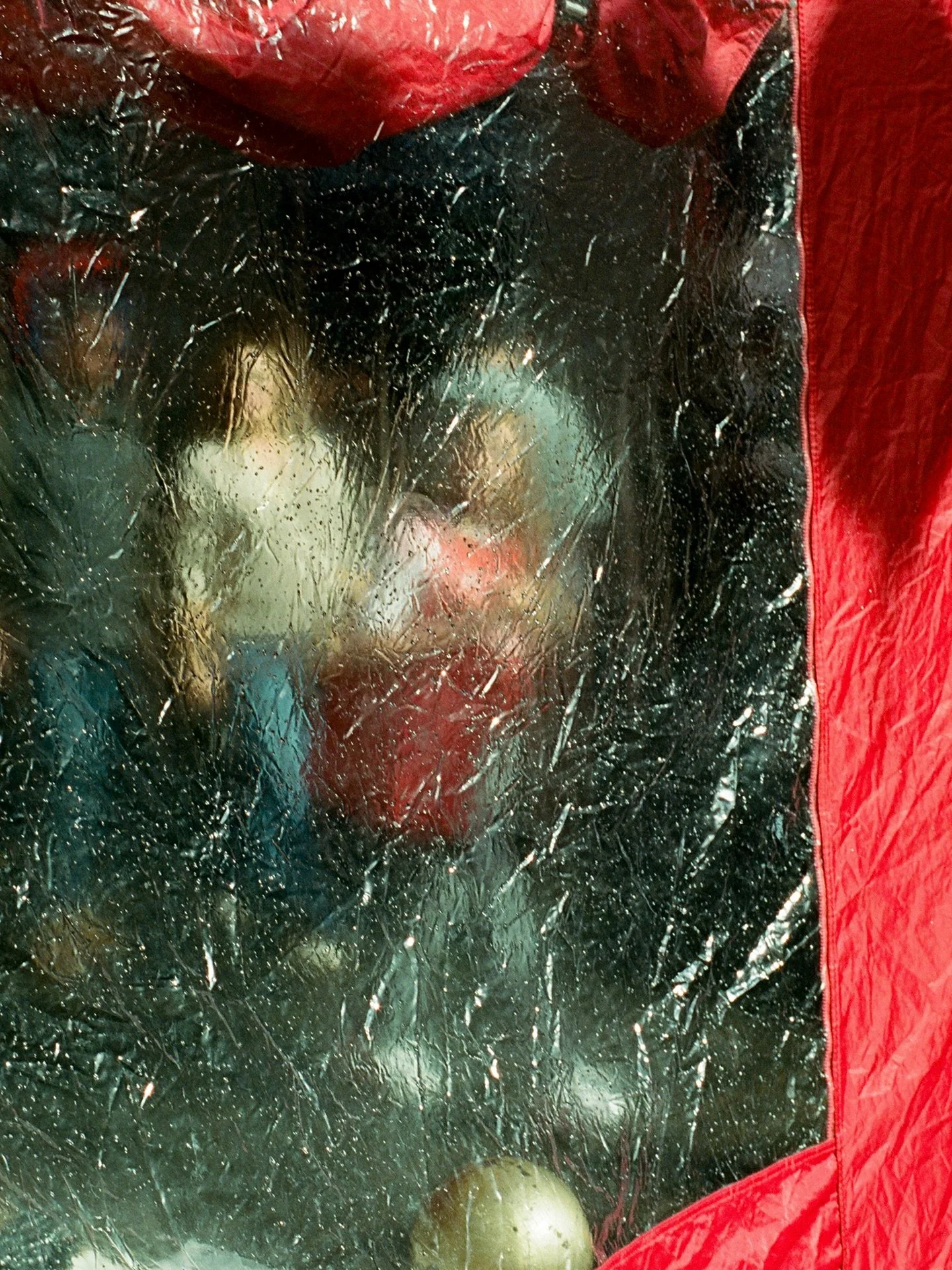 I should have seen this coming.

Kodak Portra 400 (35mm) 🎞️
Dev. &amp; scanned by @picturethisfilmlab