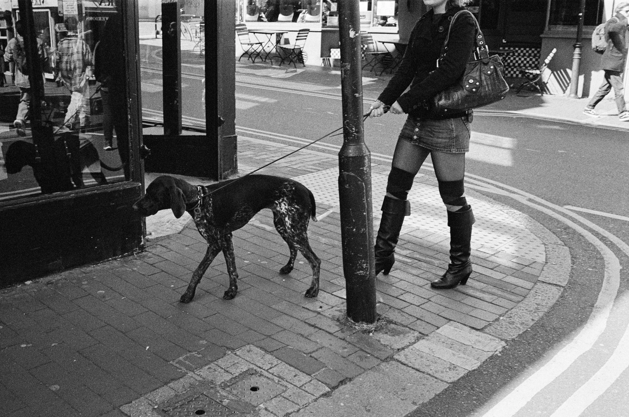 A woman walking her large black and white speckled dog on a city sidewalk, with shops and pedestrians in the background.
