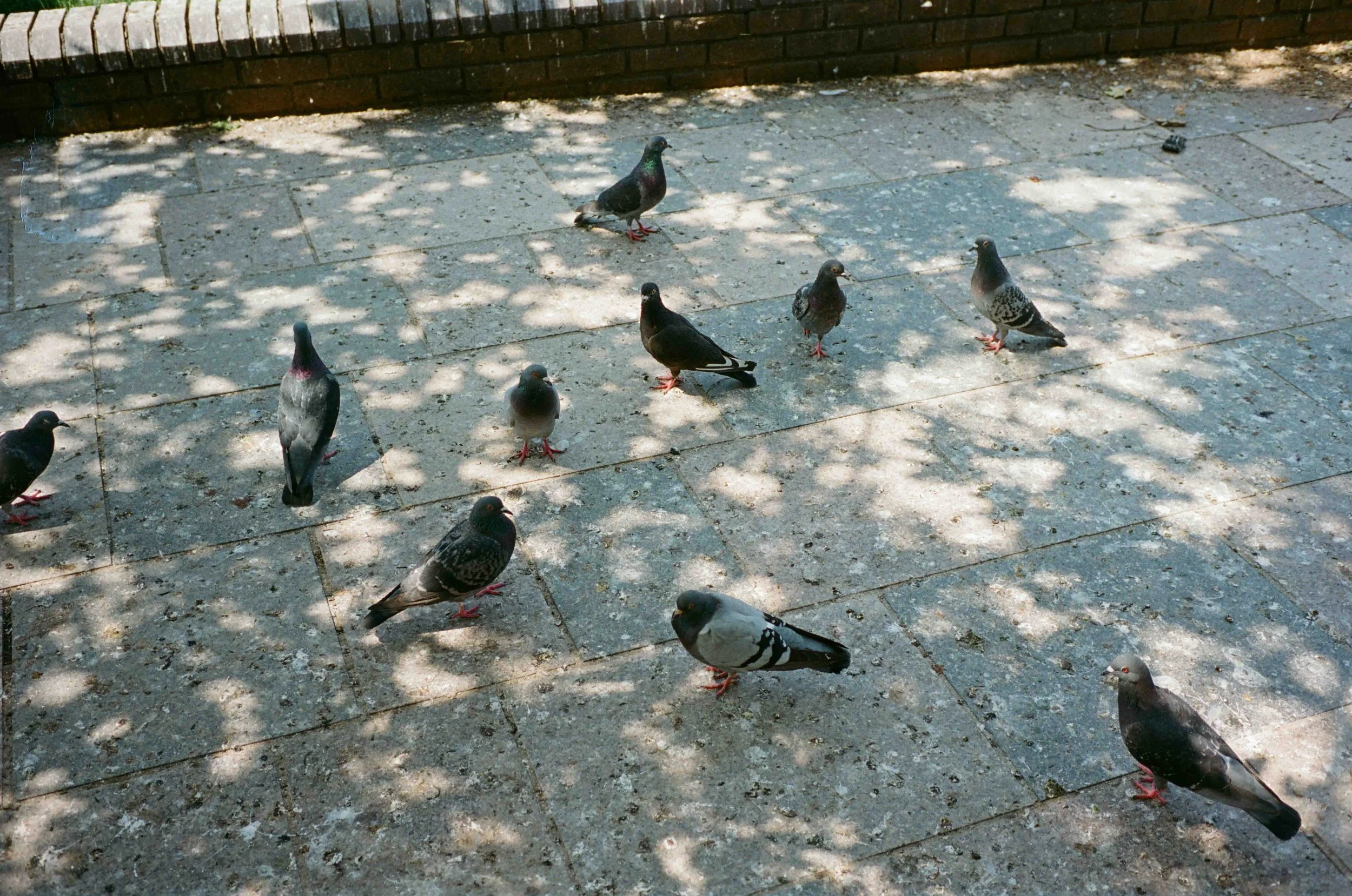 218260070001.jpg