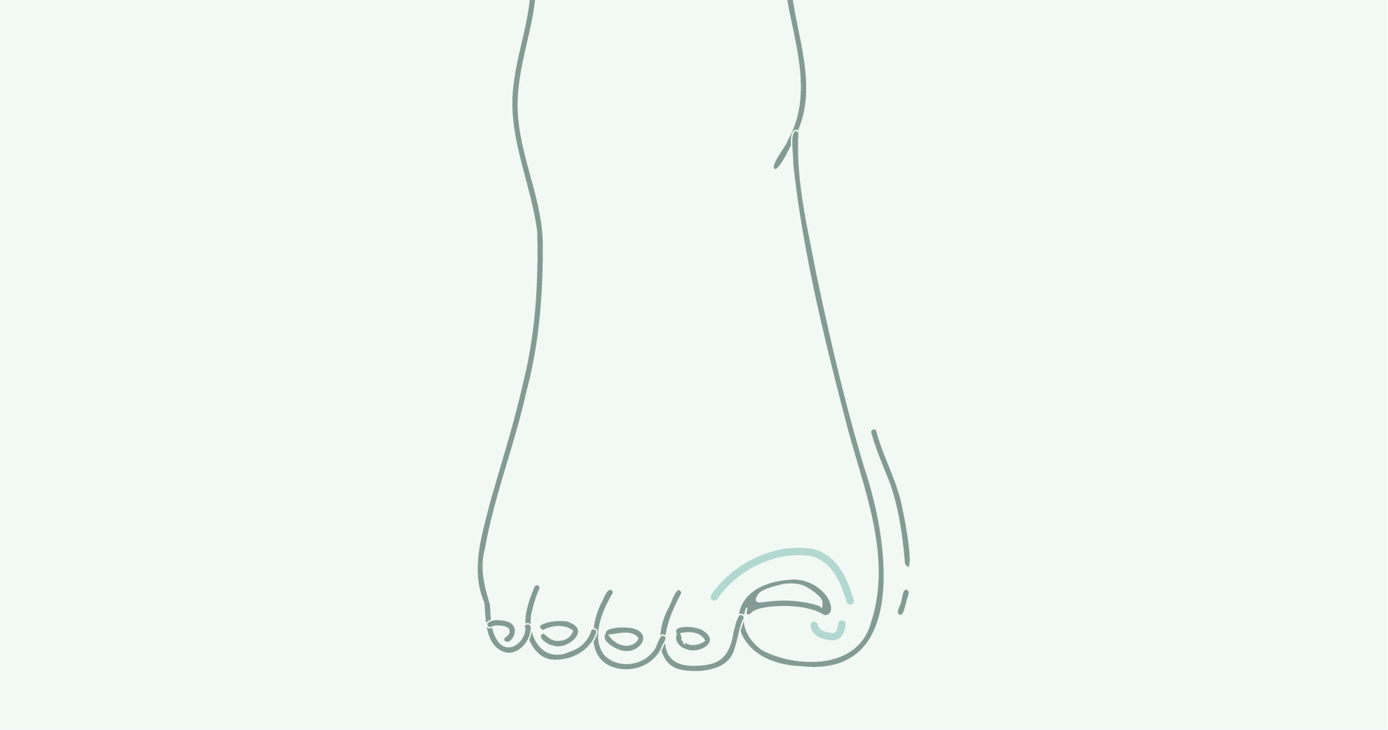 Line drawing of the bottom part of a foot, including toes and ankle, in blue outline style.