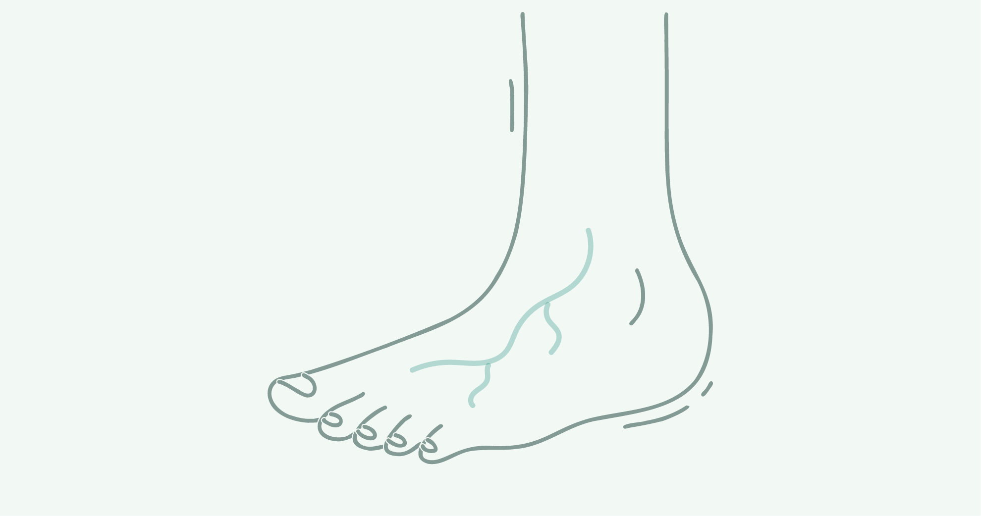 Minimalist line drawing of a human foot from a side view.