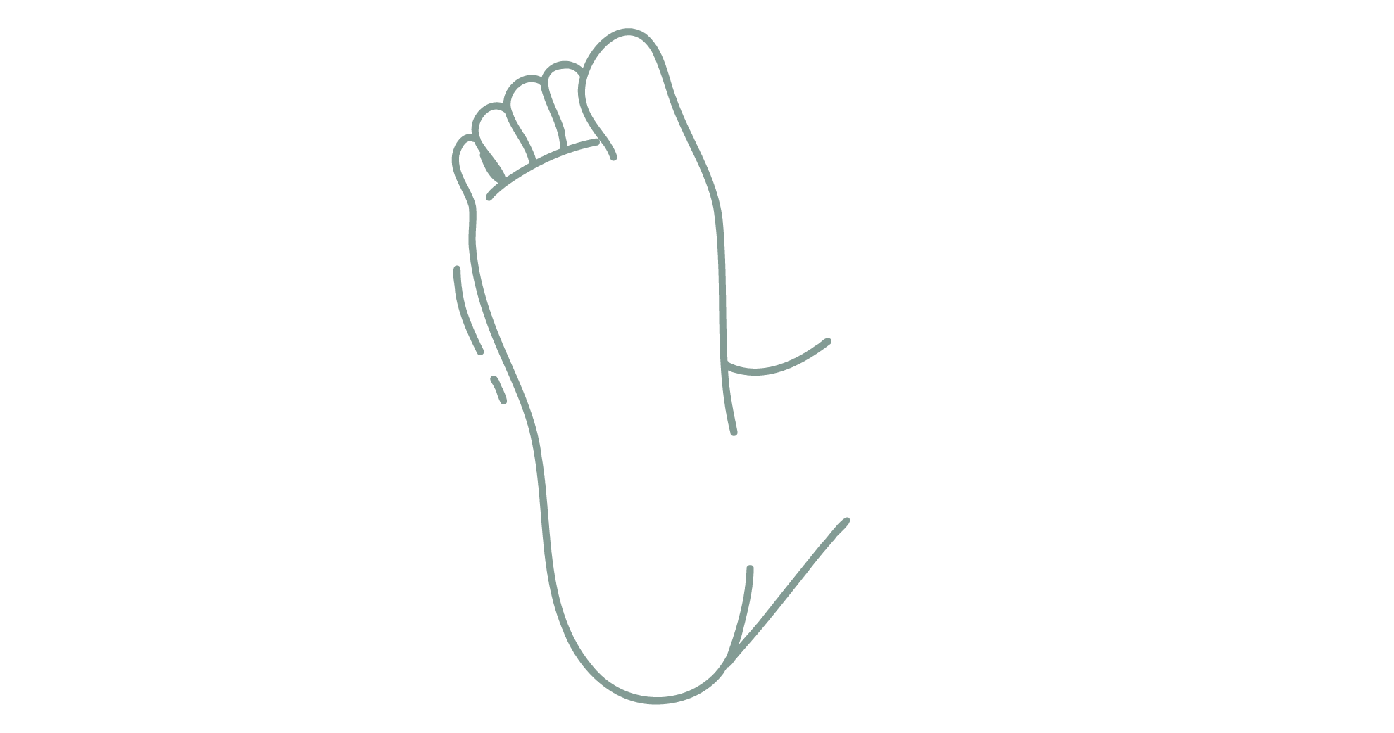 Line drawing of a human foot from the bottom depicted in blue outline.