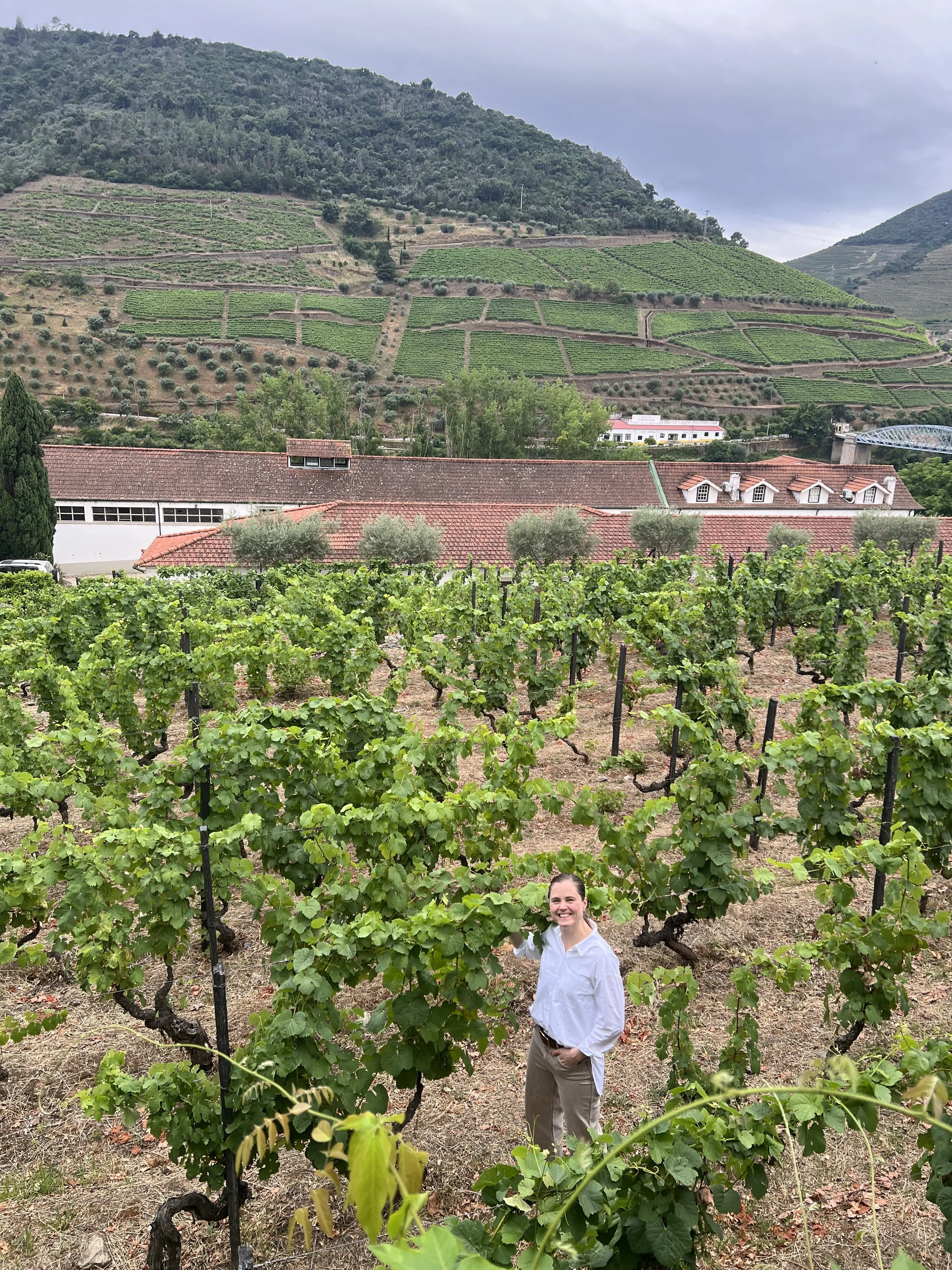 A woman in a white shirt and beige pants standing in a vineyard with green grapevines, with a hillside in the background. The hillside is terraced with vineyards and interspersed with trees, and there are buildings with red-tiled roofs in the foregro