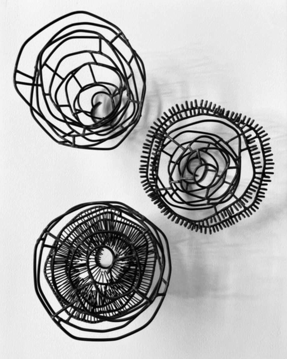 Kathryn Dobbin