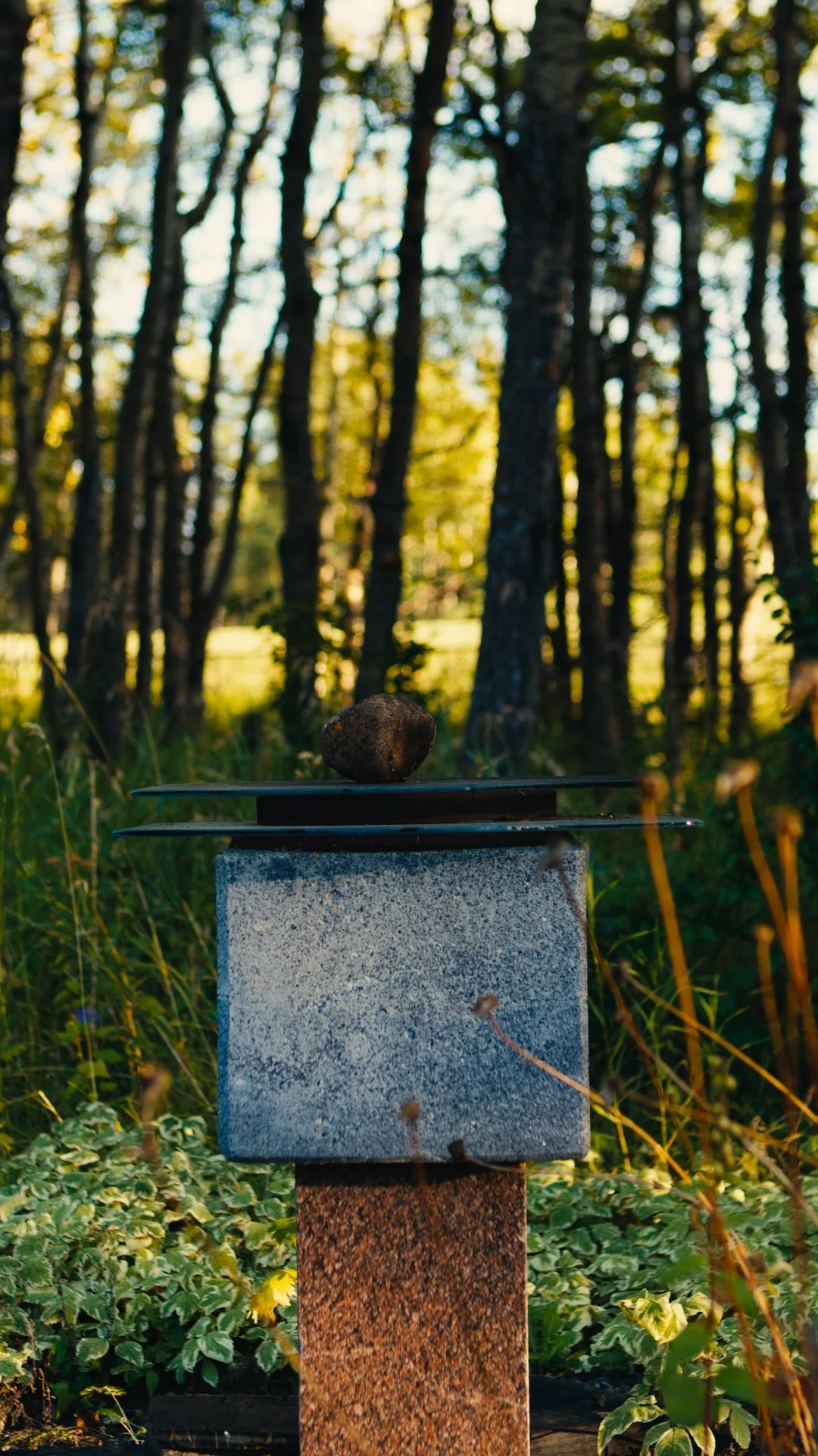 A small sculpture in the KOAC garden among green plants in a wooded area with trees and sunlight filtering through the leaves.