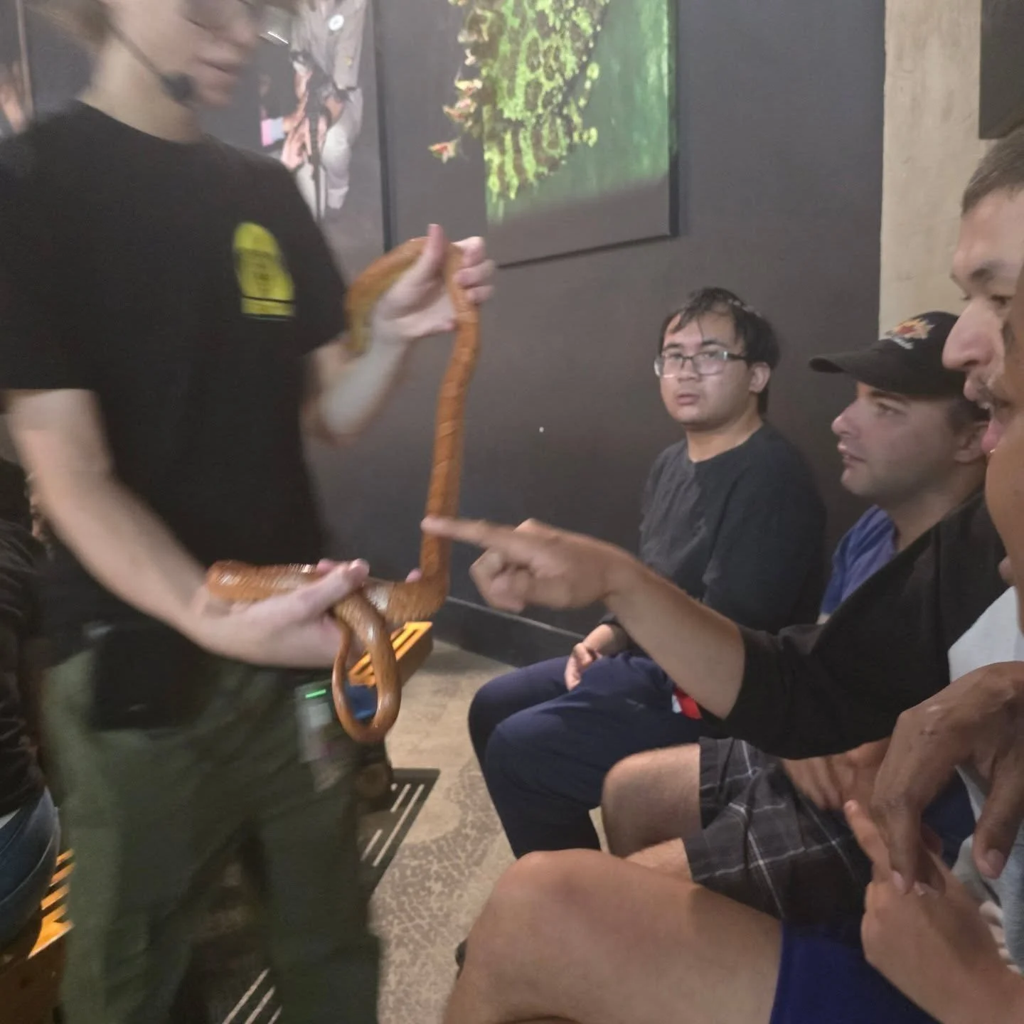 I touched a snake 🐍 to show no fear in front of the GYB members... lol thank you @reptiliazoo for having us.