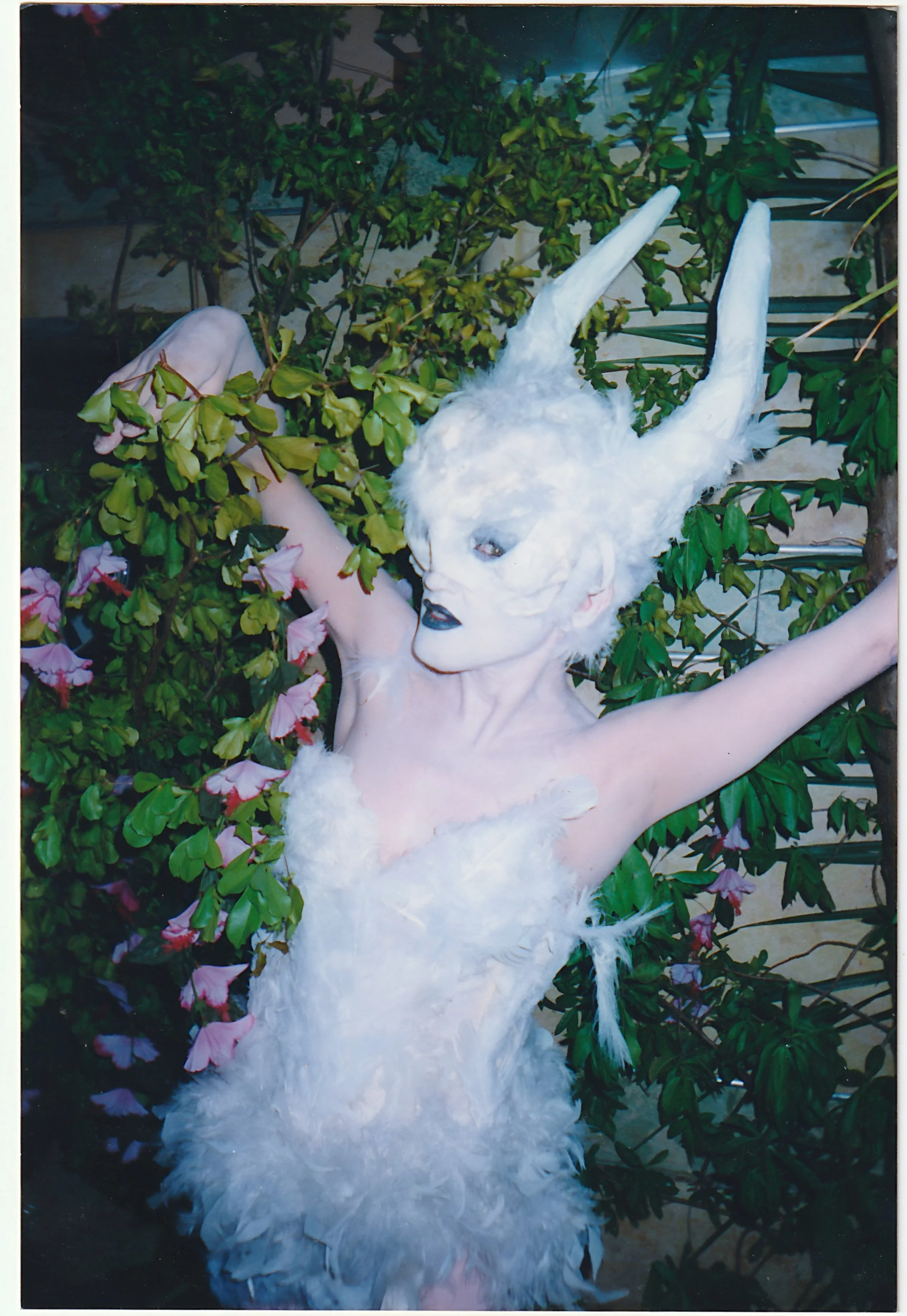 Photo Jul 14 2025, 11 56 41 PM (10).jpg