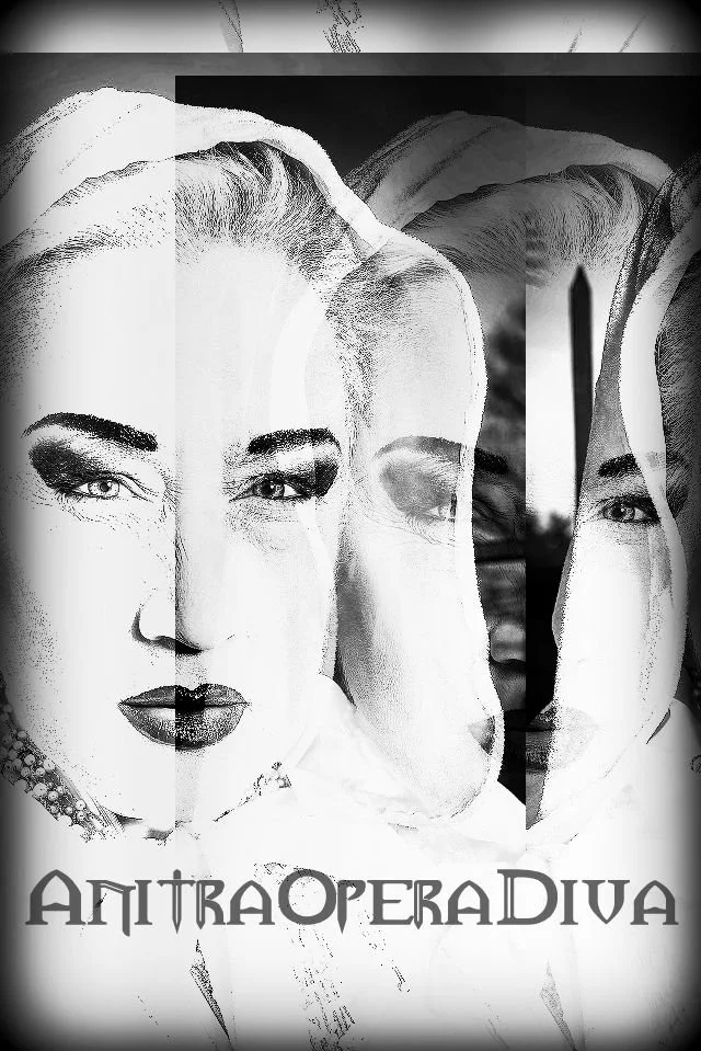 Black and white poster featuring a woman's face with bold makeup and platinum blonde hair, and the text 'AnitraOperaDiva' at the bottom.