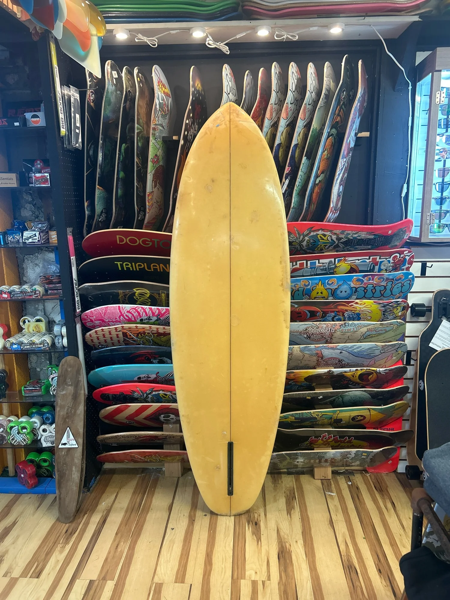 6'3” Plastic Fantastic — World-Famous Wave Hog Surf Shop - LBI, NJ