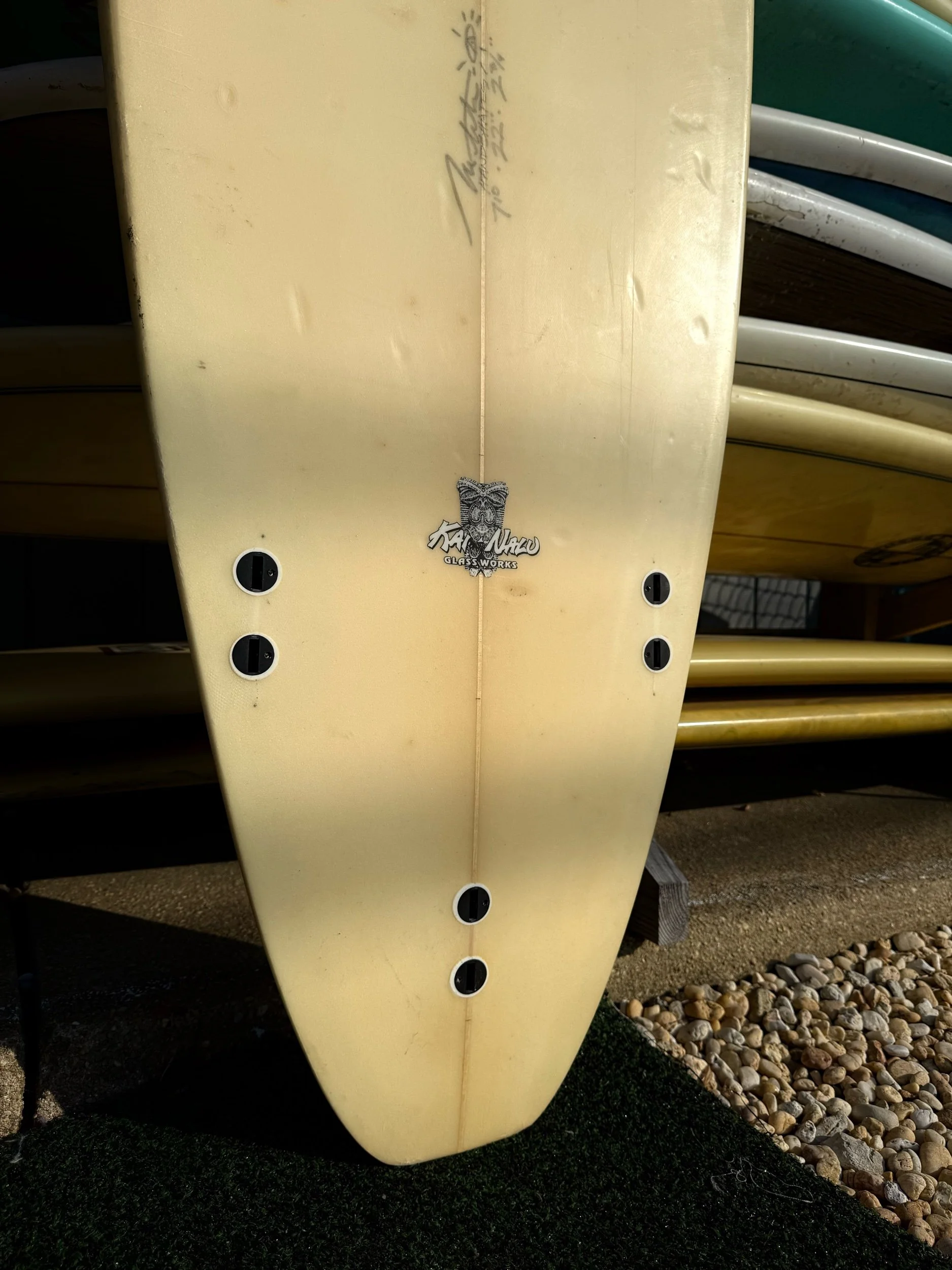 Official Online Store — World-Famous Wave Hog Surf Shop