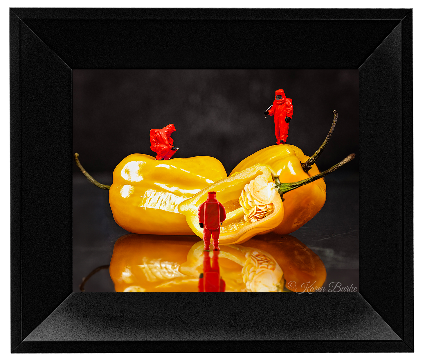 Operation Habanero
