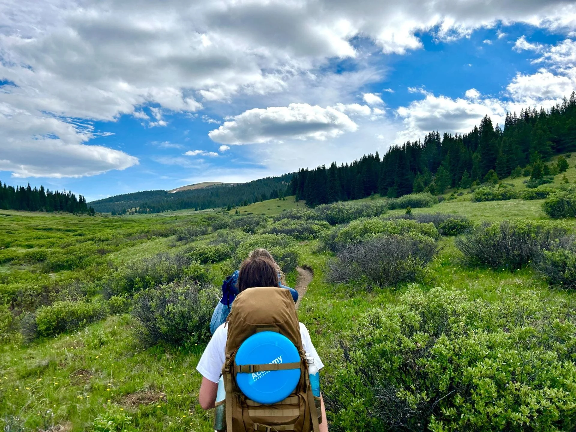Two hikers walking along a narrow trail through a lush green meadow with dense forest and mountains in the background under a partly cloudy sky.