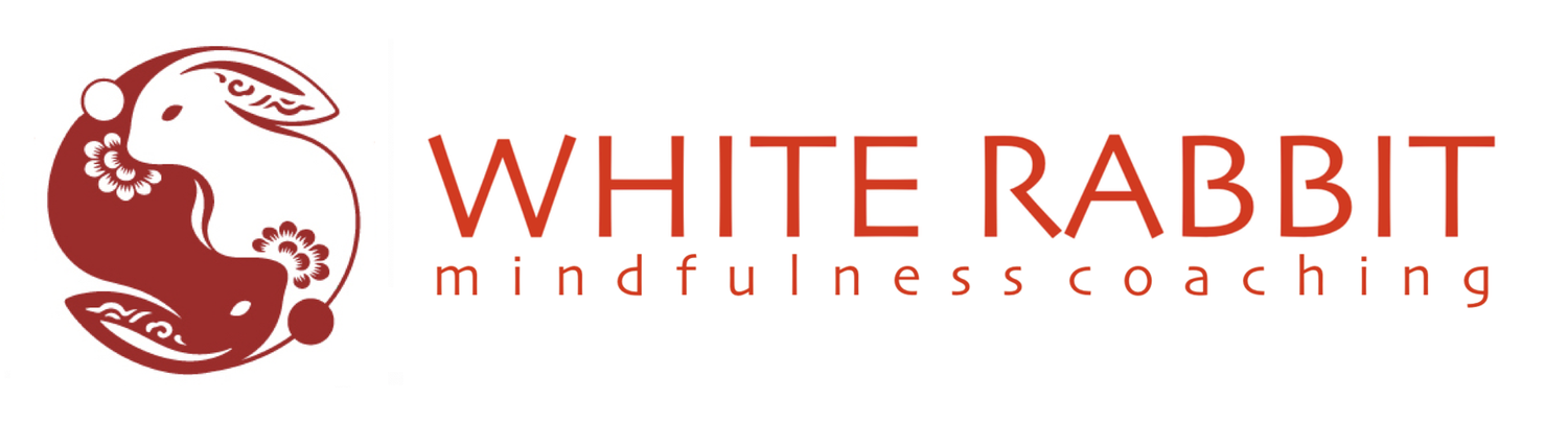 White Rabbit Love Center