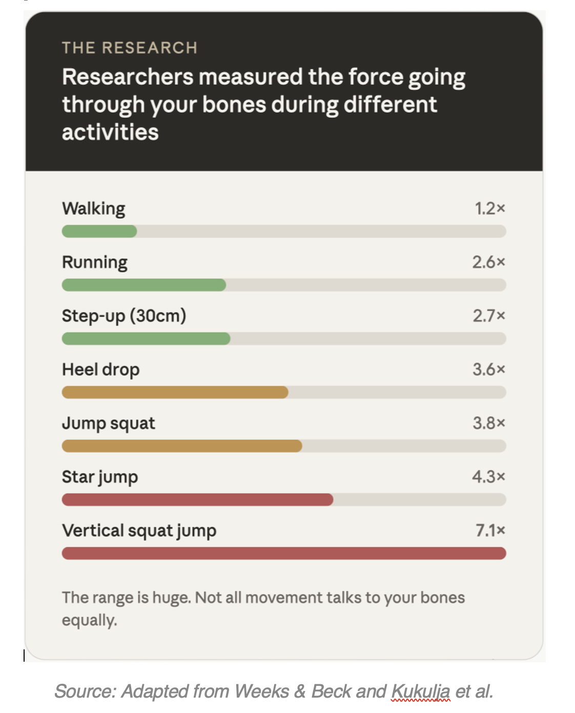 How much force does exercise actually put through your bones? The research is surprising.