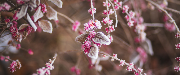 keeping healthy in winter