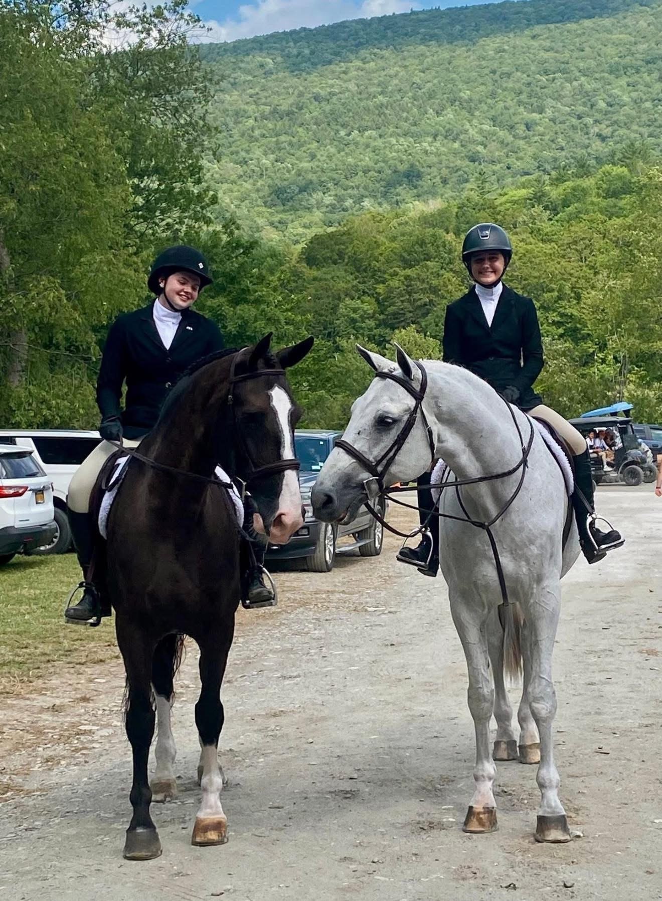 Brown and grey horse with riders at show