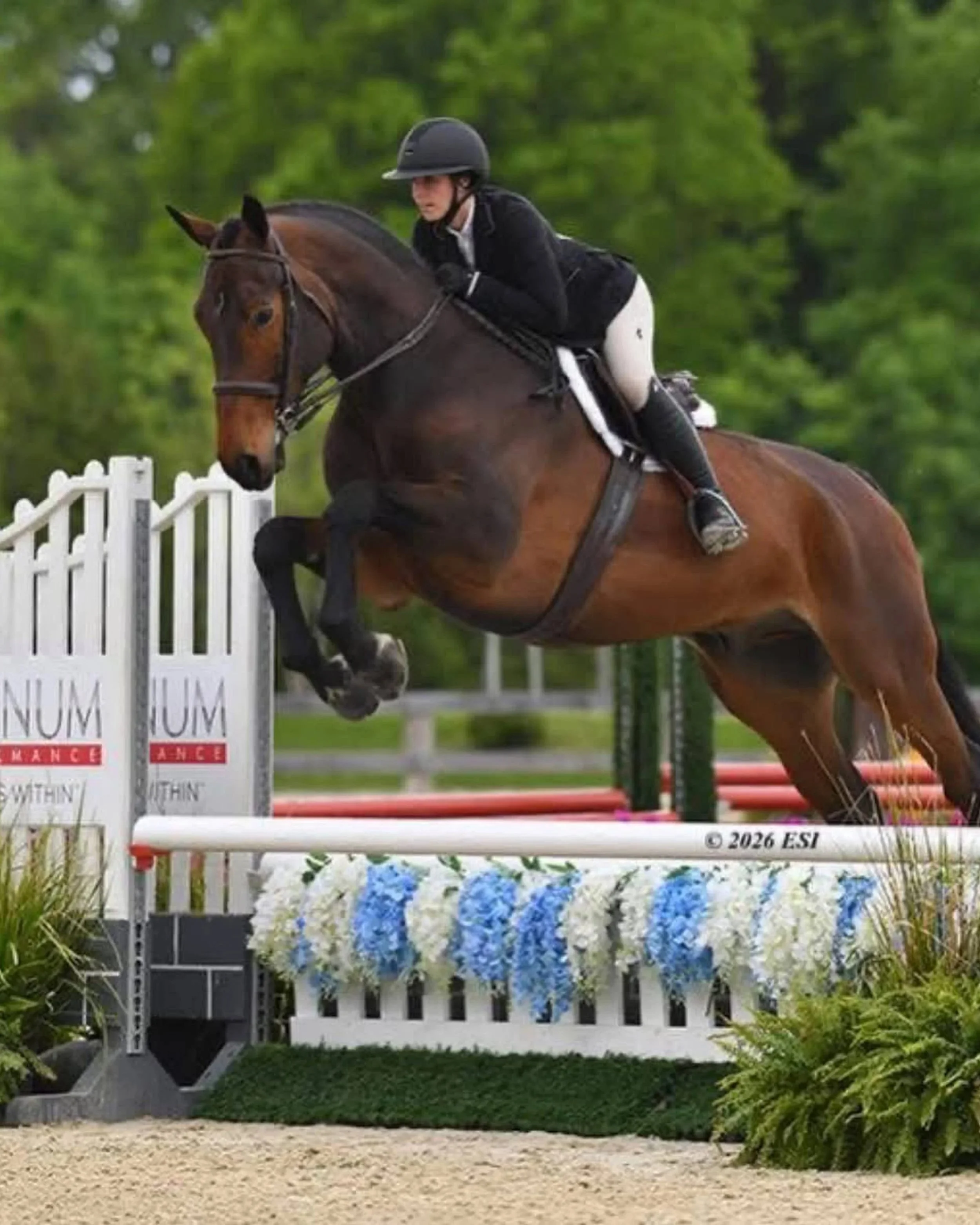 Student jumping hunter course at HITS Vermont, Summer 2026