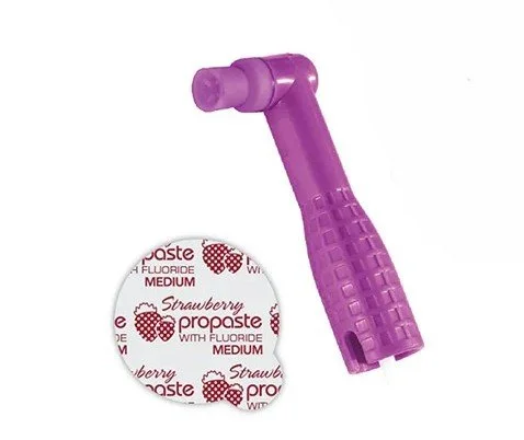 PROANGLE PLUS PROPHY PACK COMBO FIRM PURPLE MINT COARSE 100/BX