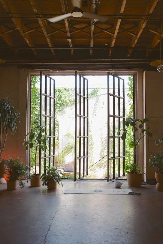 WRR + MOTHER PLANT + OLEILU.jpg